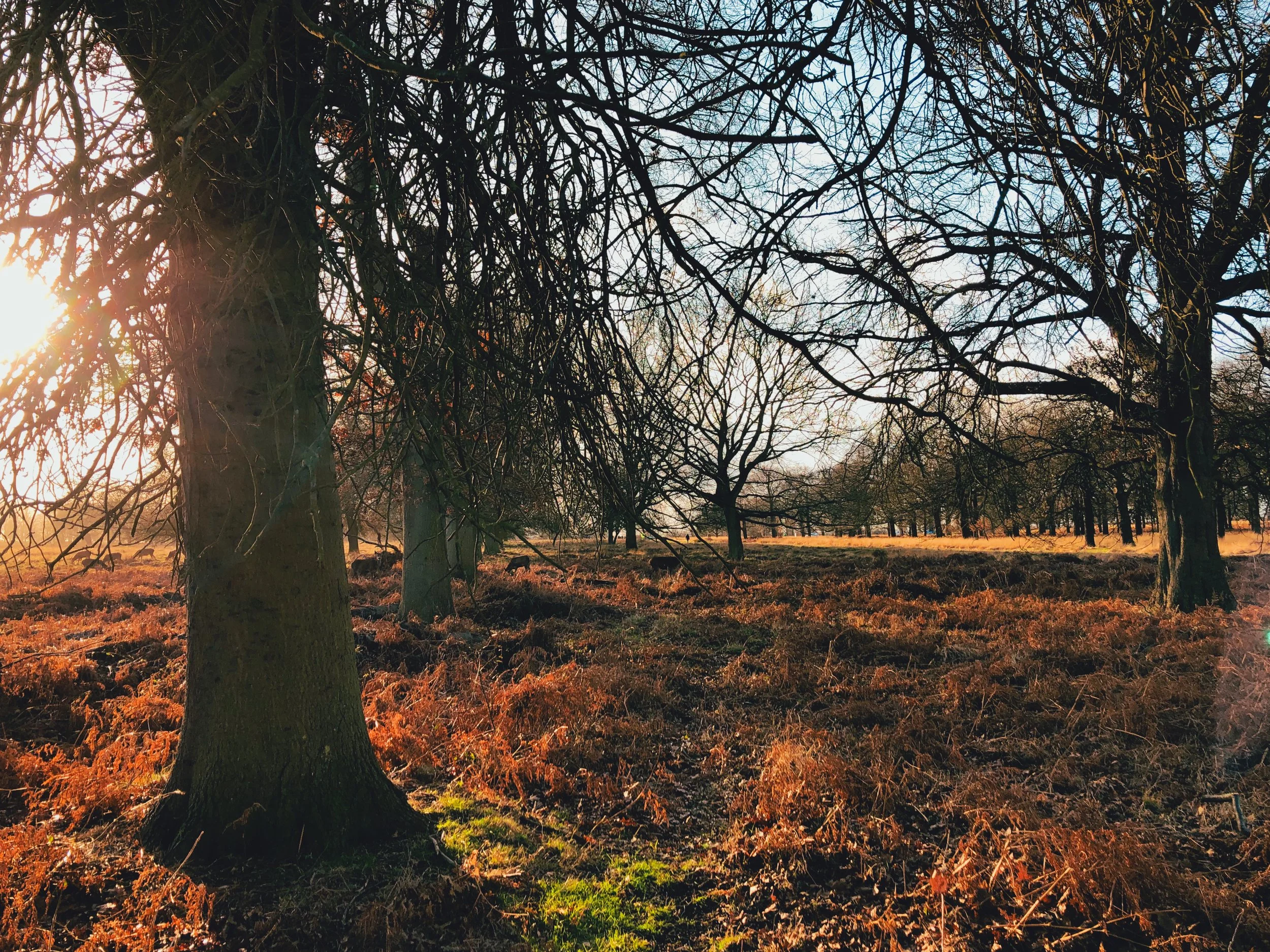 The Sound of Silence (no, not the Simon and Garfunkel song)