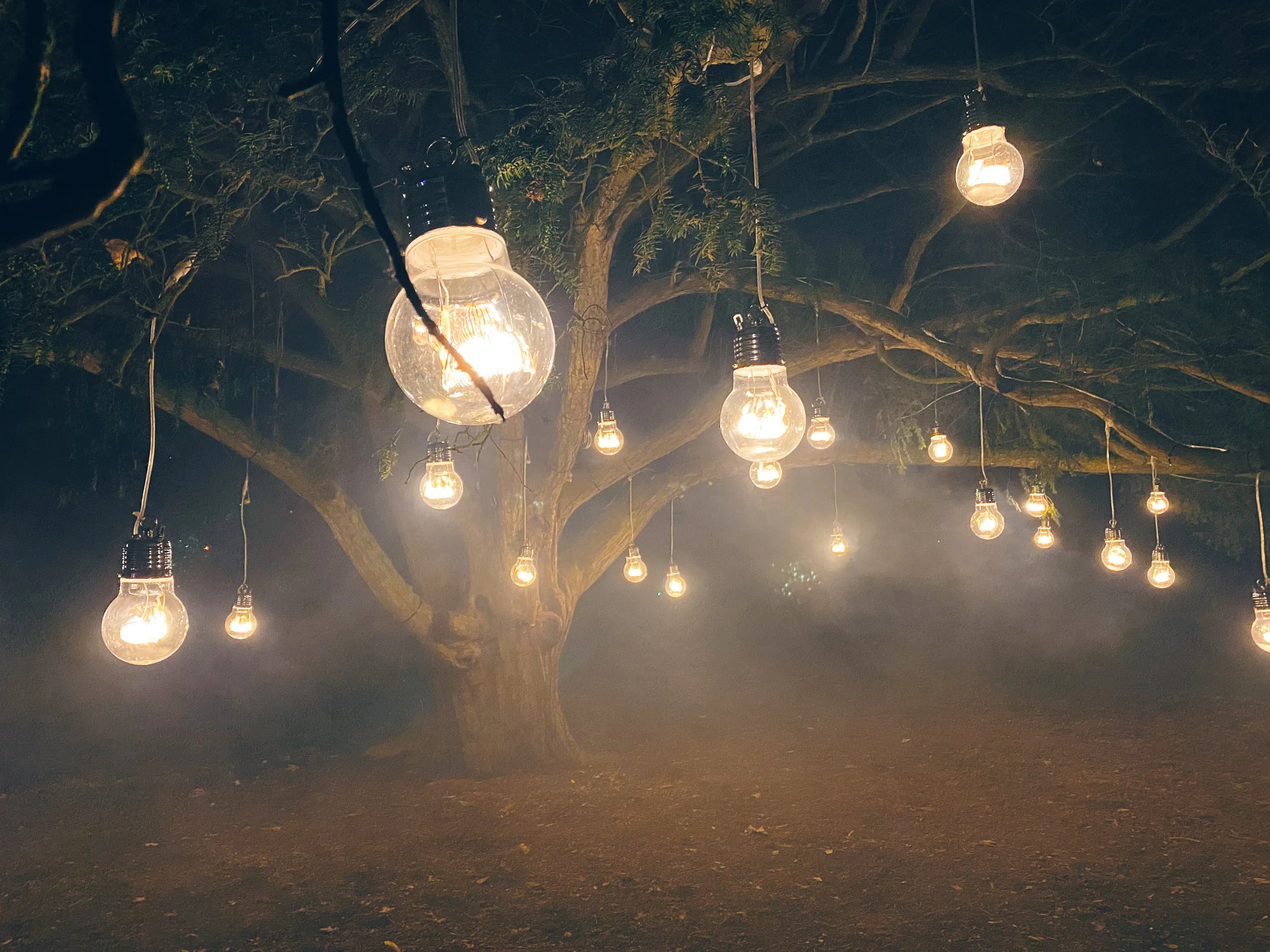 The Word became flesh, and lived among us... (a sermon for Midnight Mass)