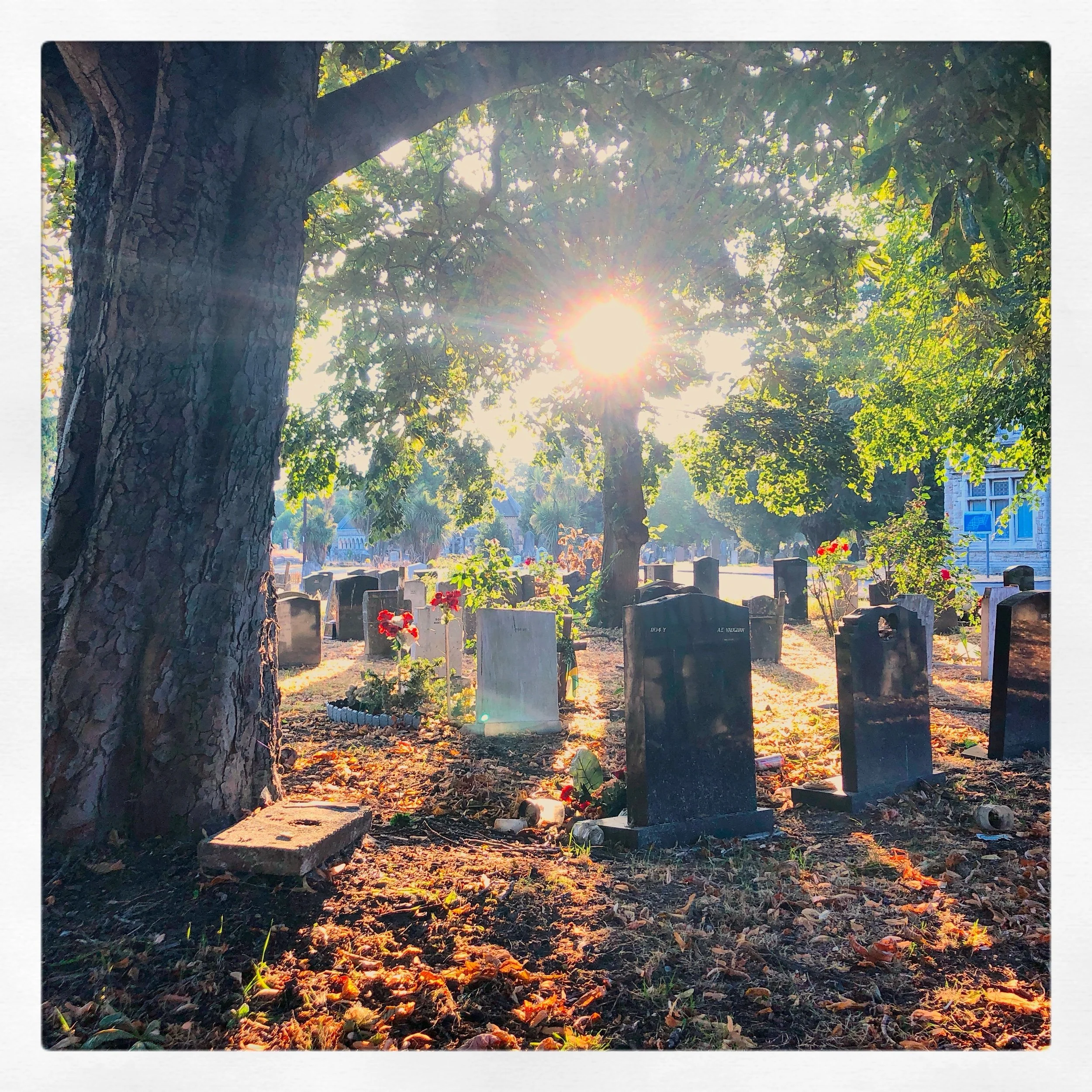 “My shards are showing.” A homily for All Souls