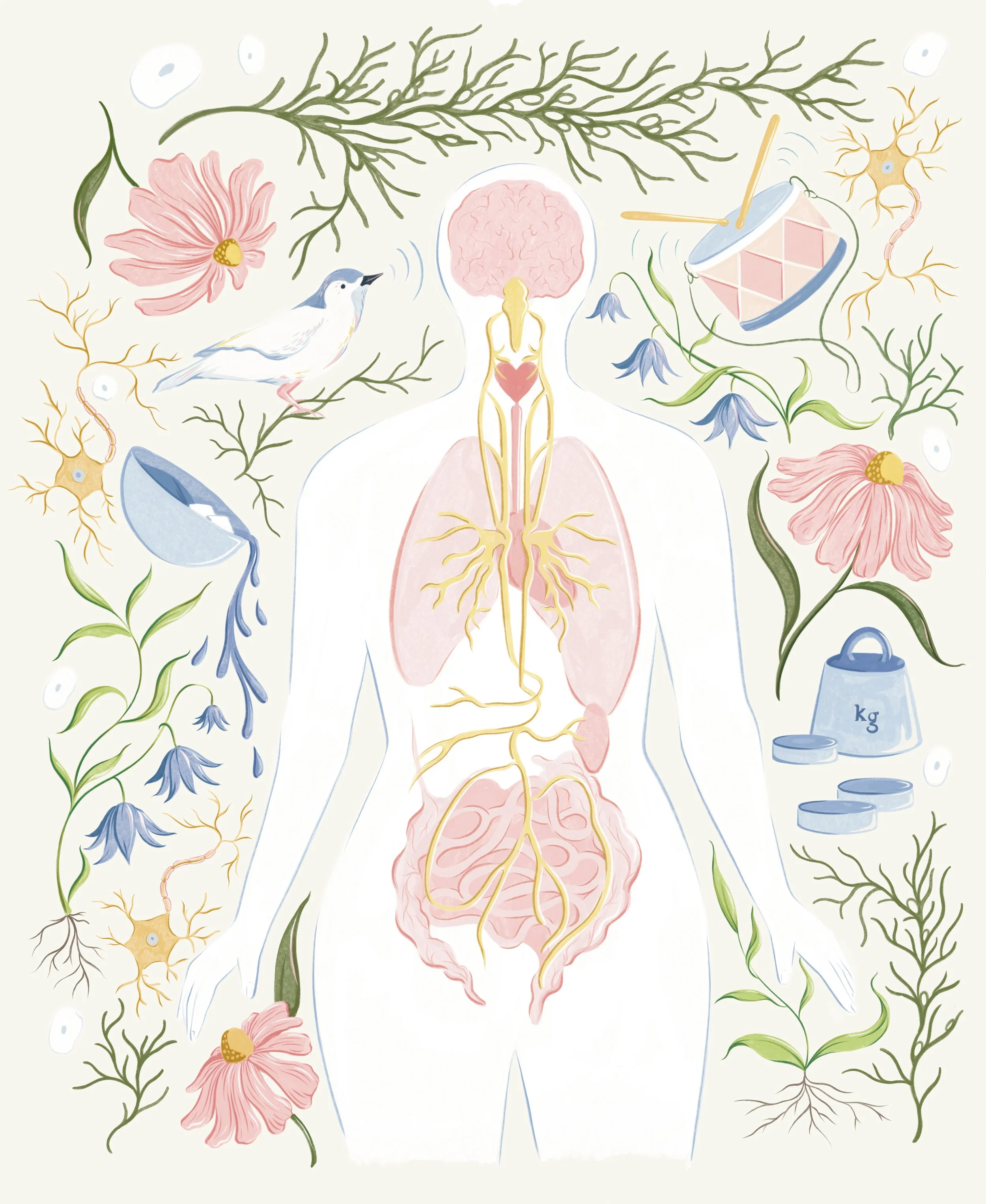 Illustration of the vagus nerve and outside stimuli