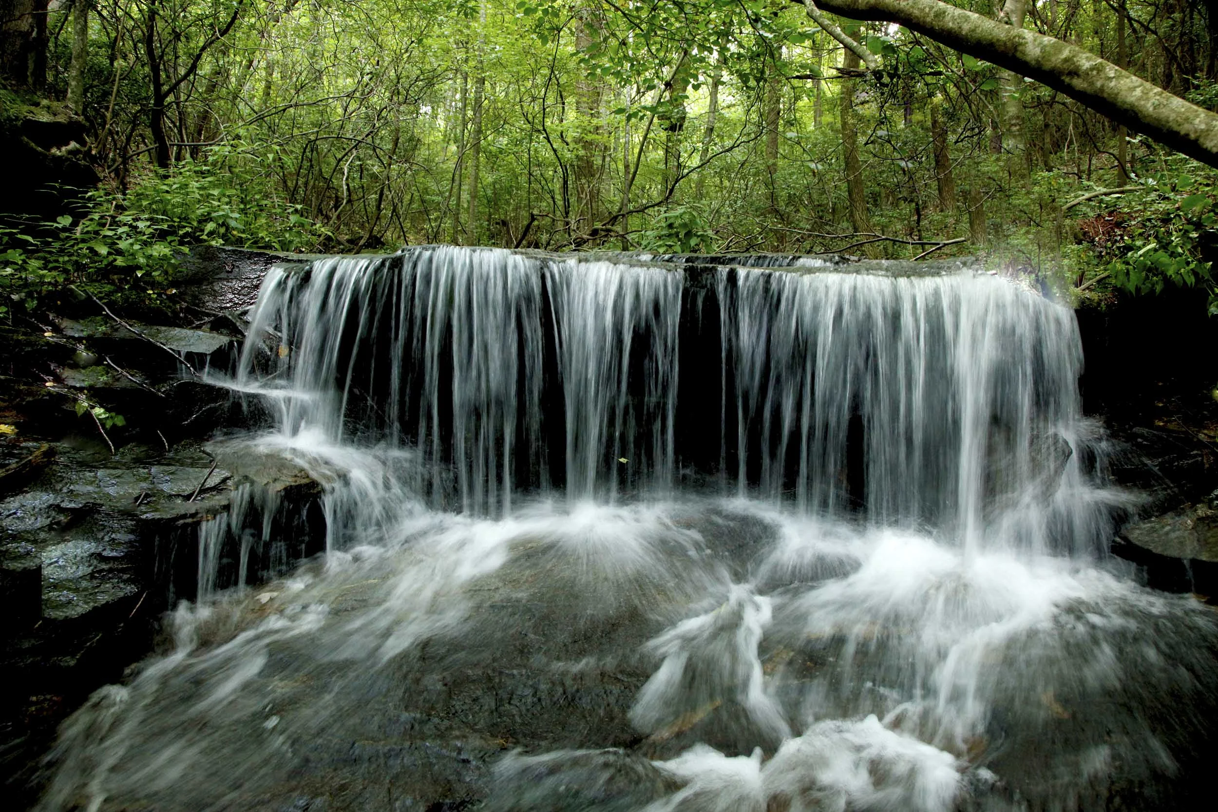 Photography By Harold Wilson