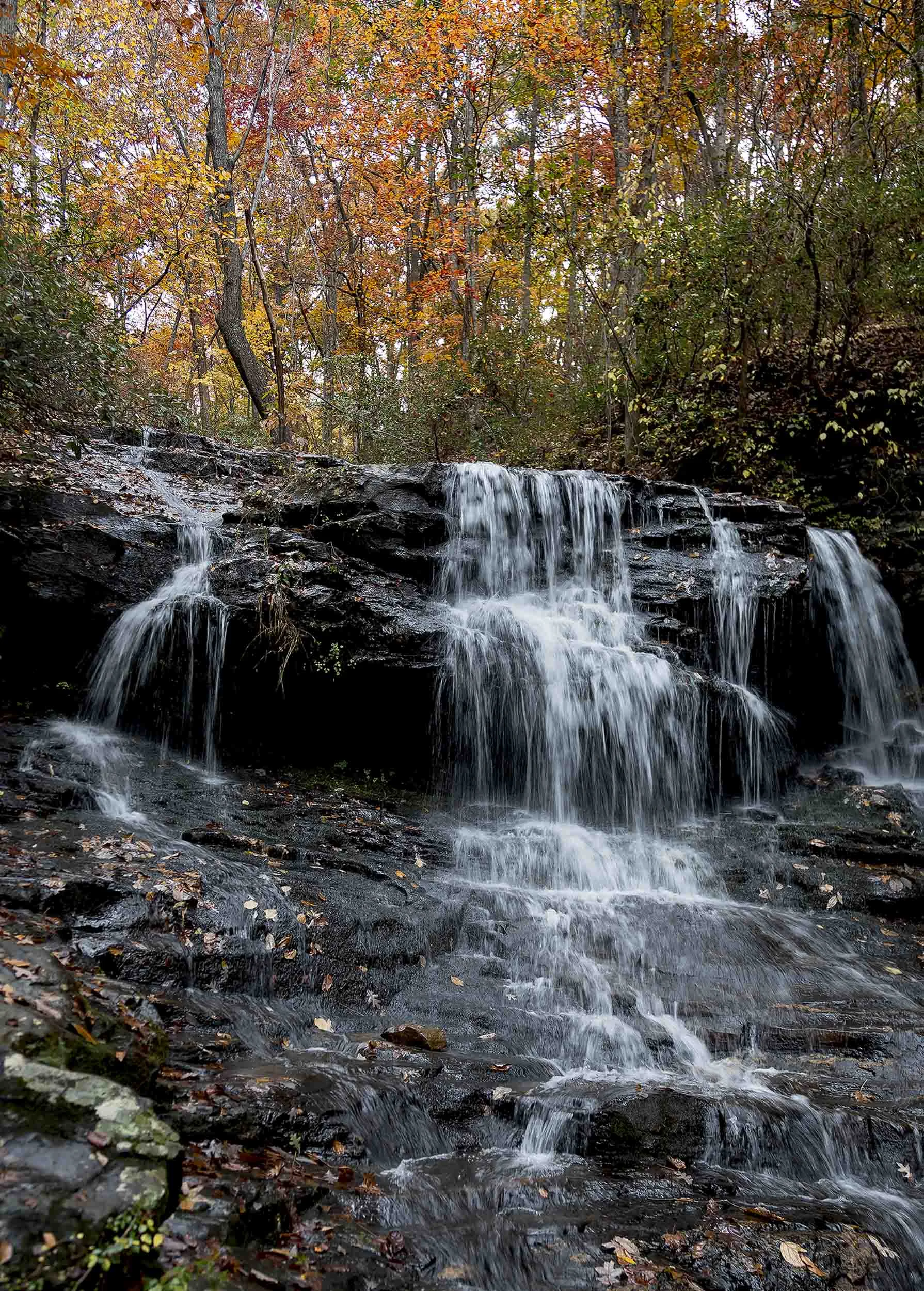 Lower Falls October 2017