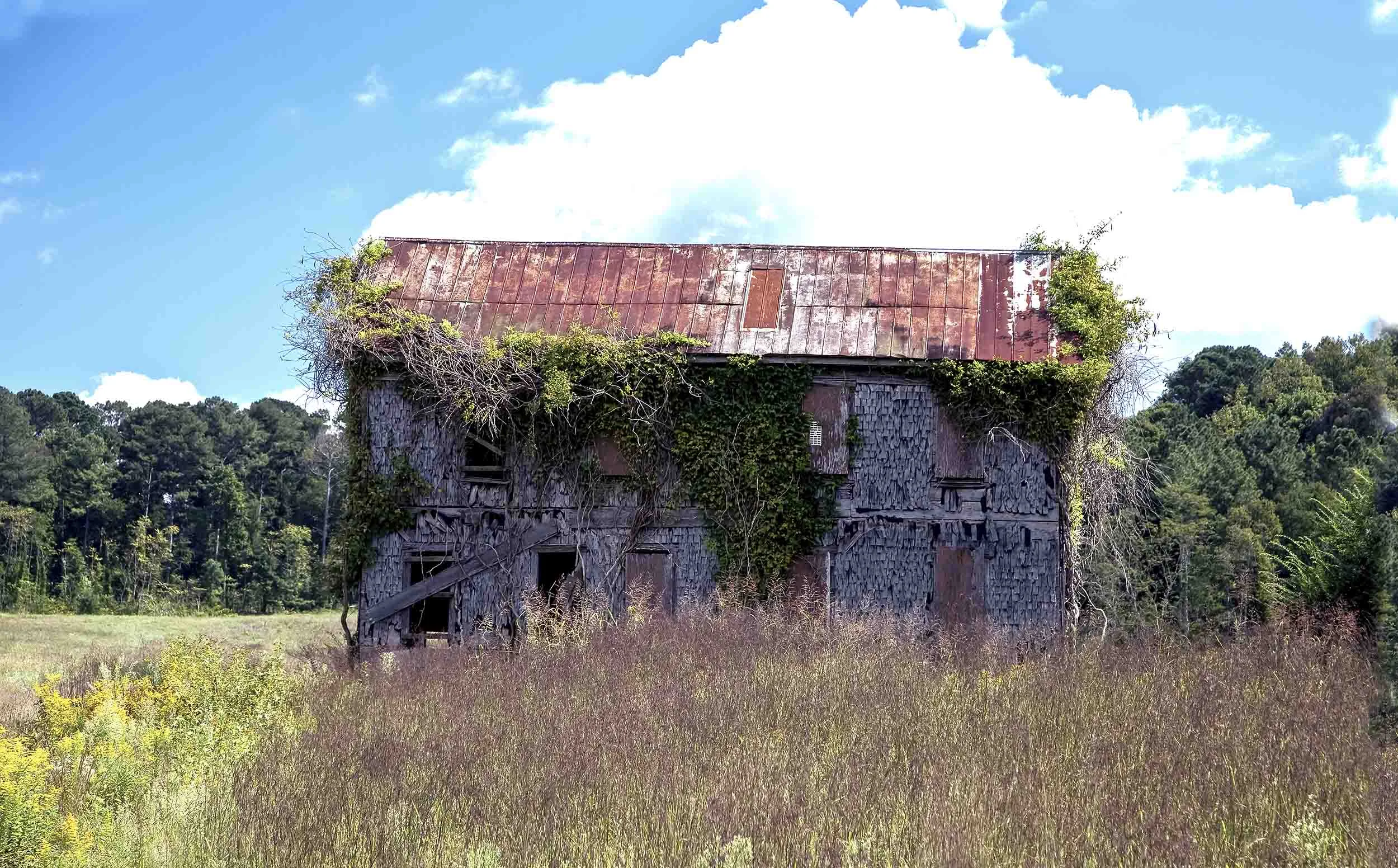 OLd Gold Mine Ballground, Georgia