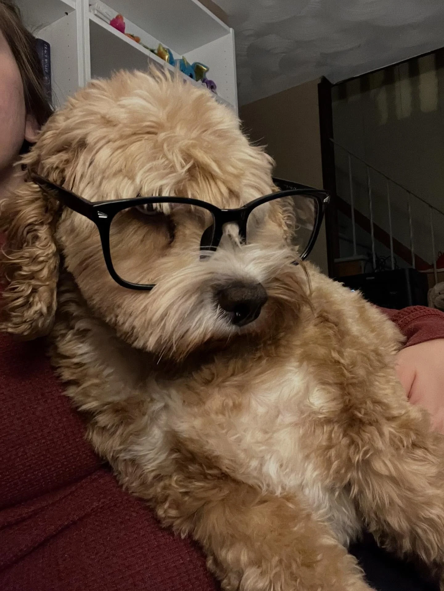 Business Bubbles is getting promoted to Director of Customer Service, going forward all email correspondence will be handled by her and her team.