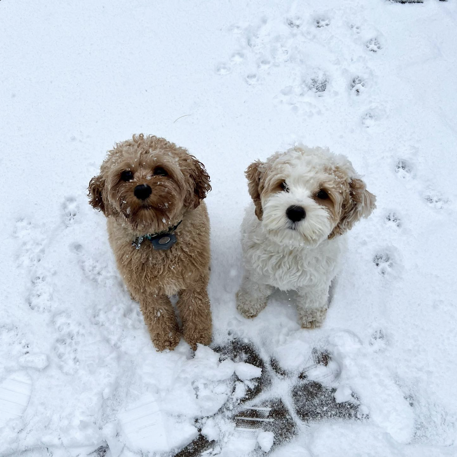 Screenshot 2024-09-08 at 3.40.53 PM.png