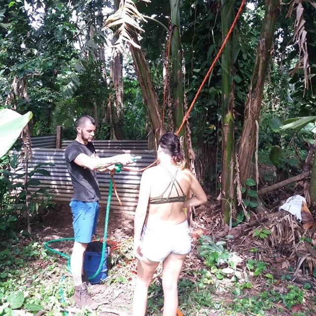 Today, our friend Dr. Rebecca Cliffe, founder of the Sloth Conservation Foundation, came with her team to install crossing bridges on our property. A few weeks ago, they also came to plant trees that would benefit our furry neighbours and attract the