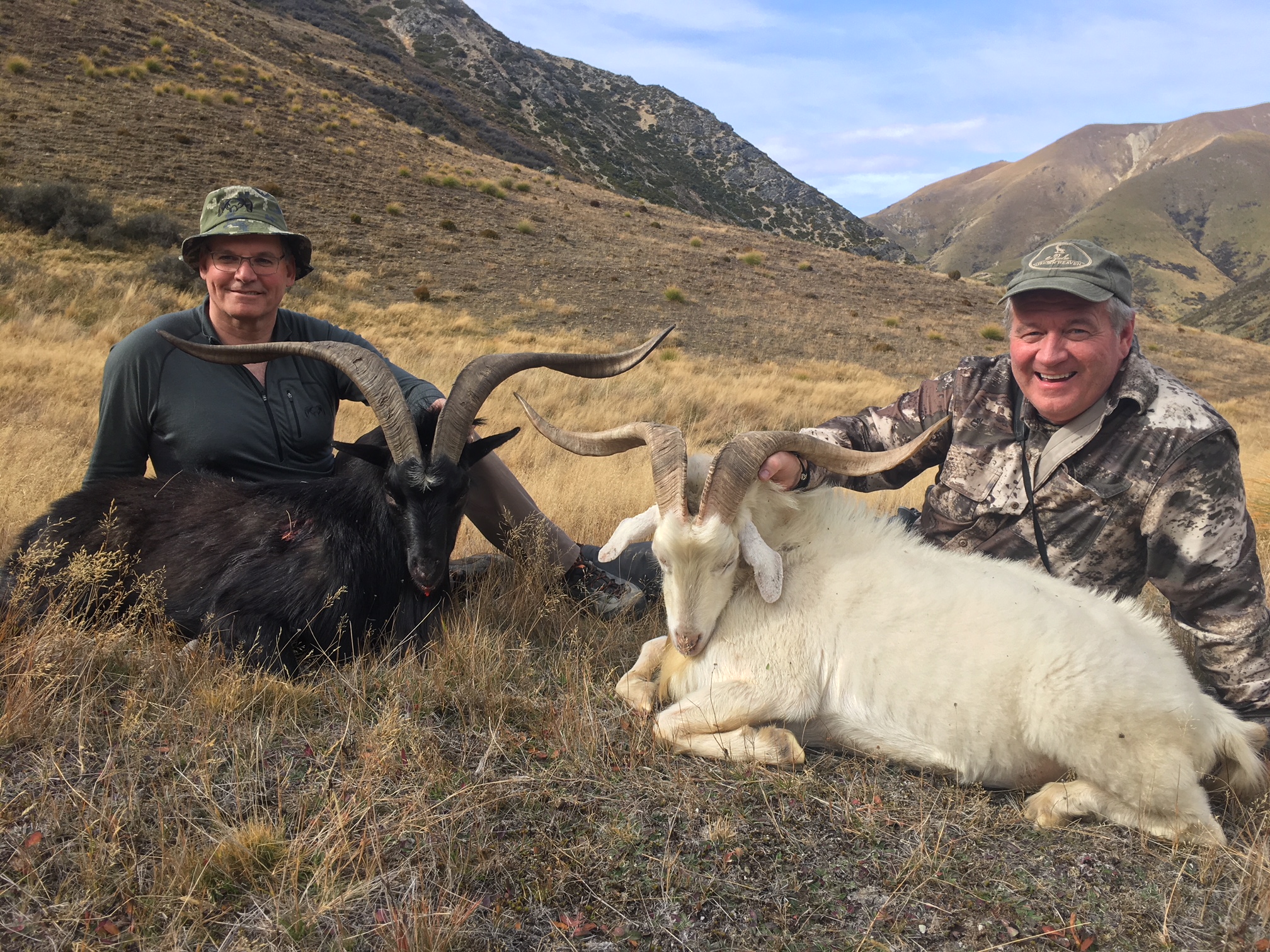 Tim and Fred Goats NZ.JPG