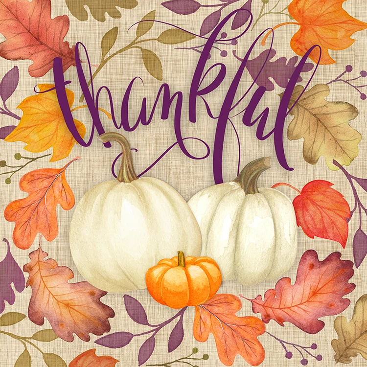 Plum Grateful Collection