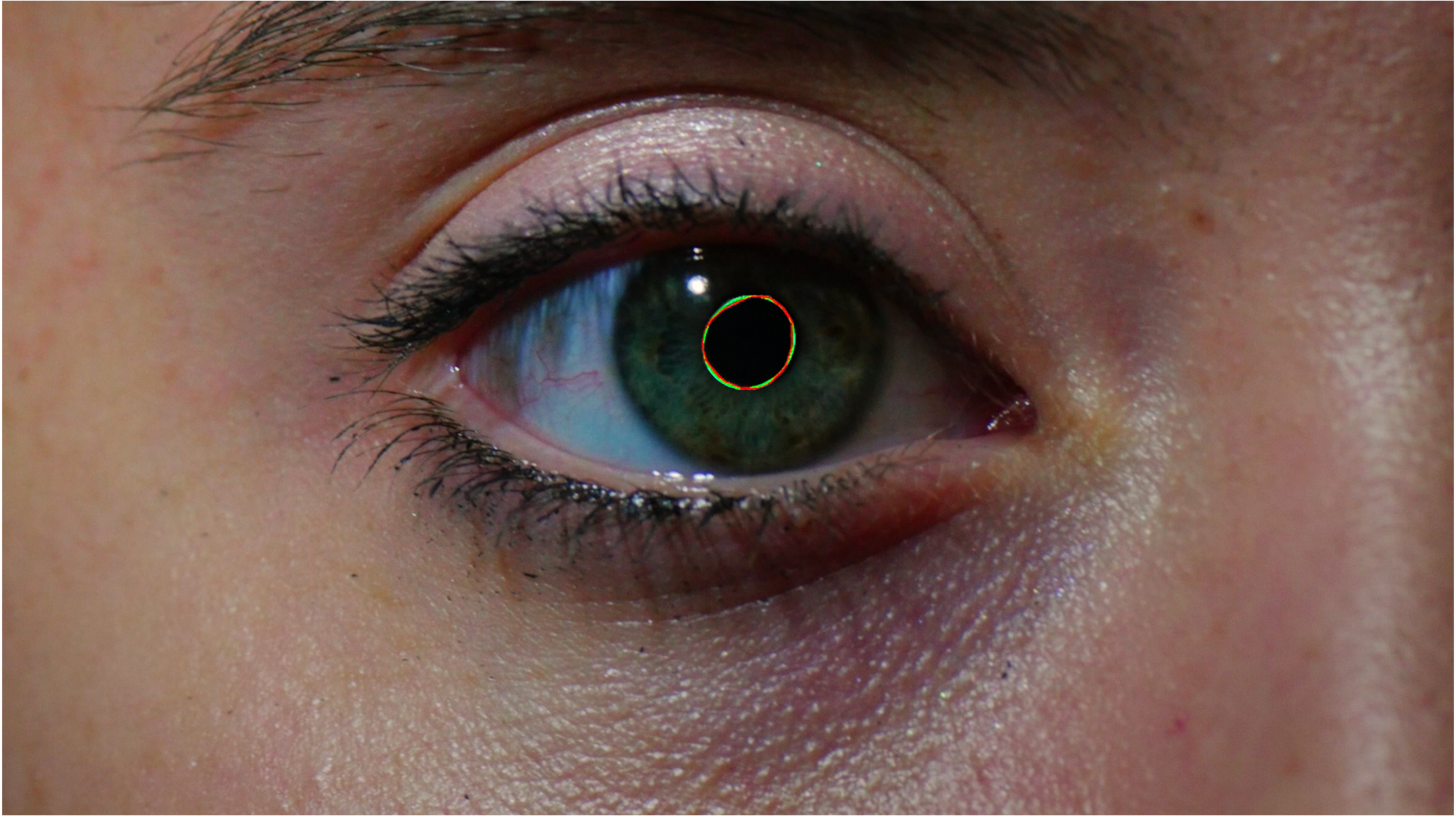 BuildingColorRingColor.jpg