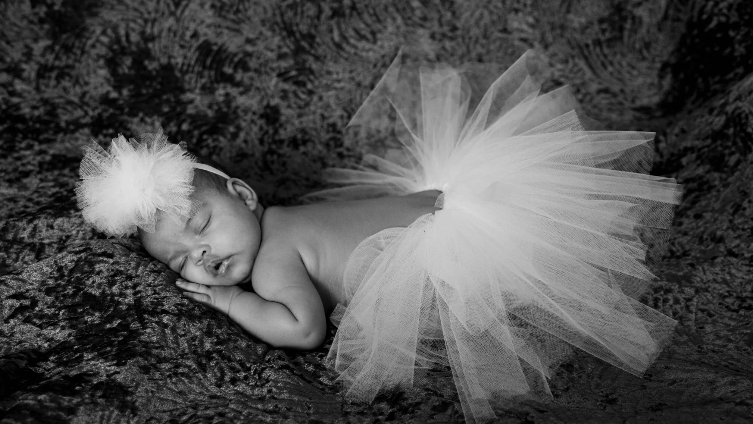 Toronto Newborn Family Photography.jpg