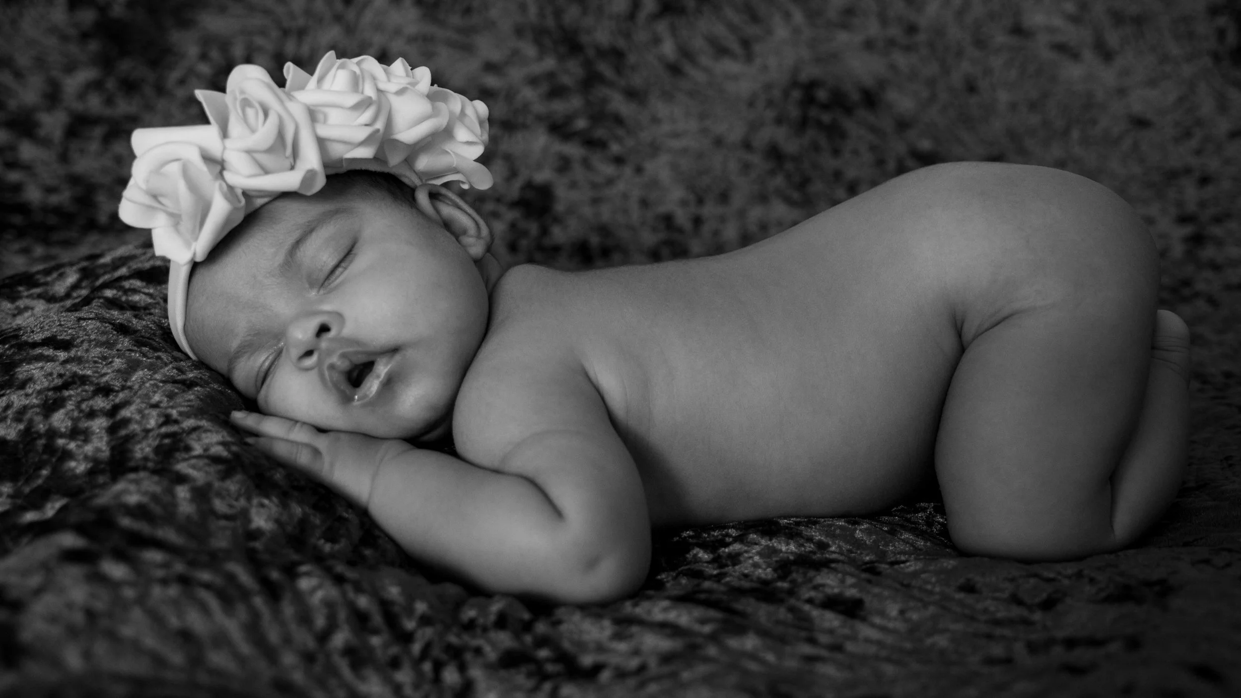 Toronto Newborn Family Photography.JPG