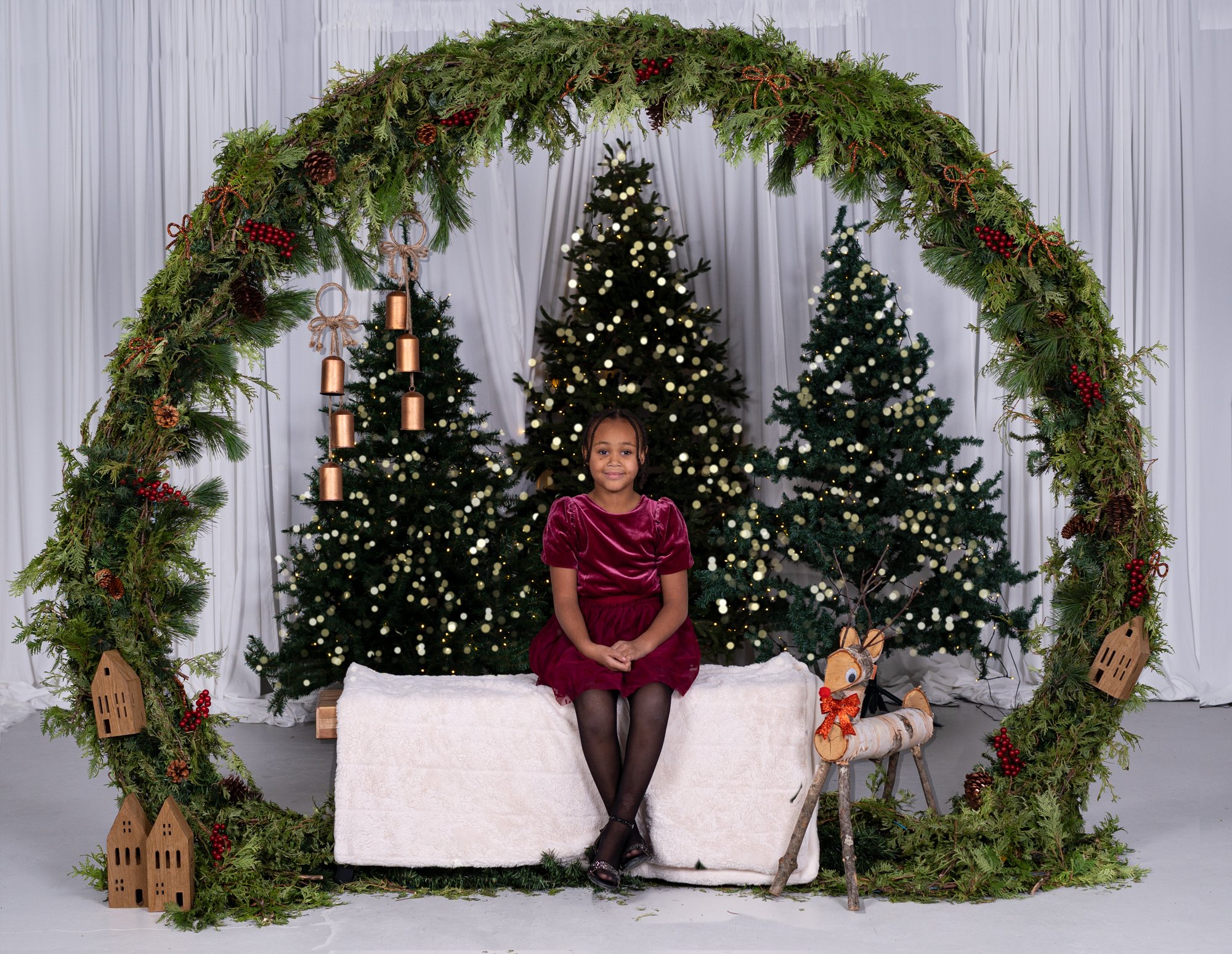 Toronto Holiday Mini Session.jpg