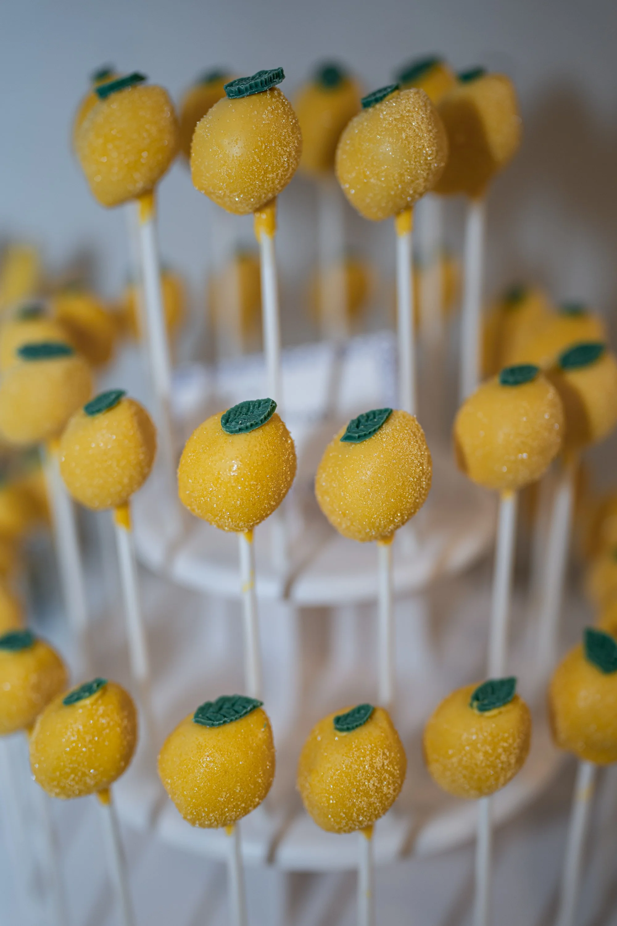 Toronto Bridal Shower celebration Photography.jpg