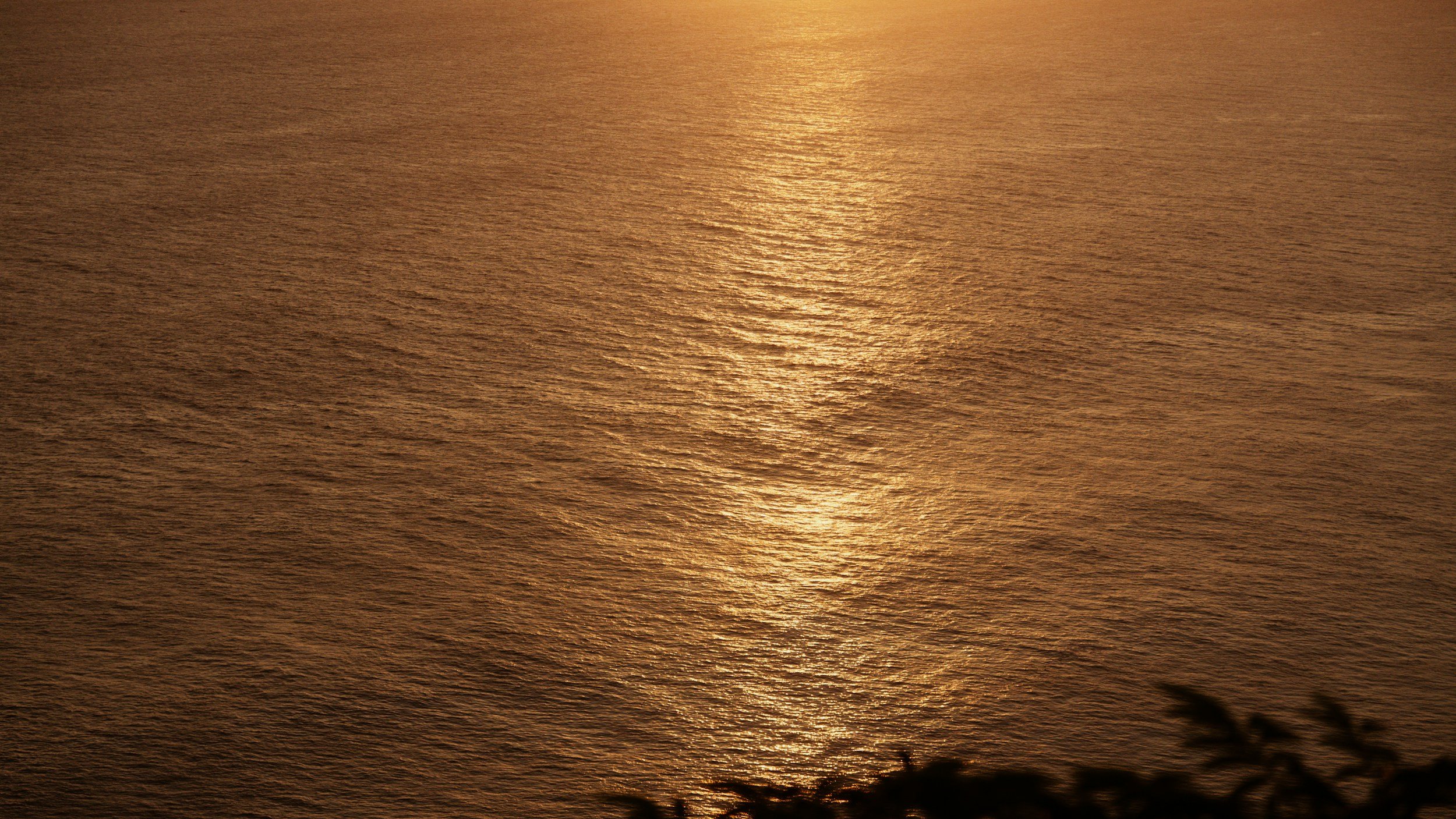 unsplash-image-6opay3MENAU.jpg