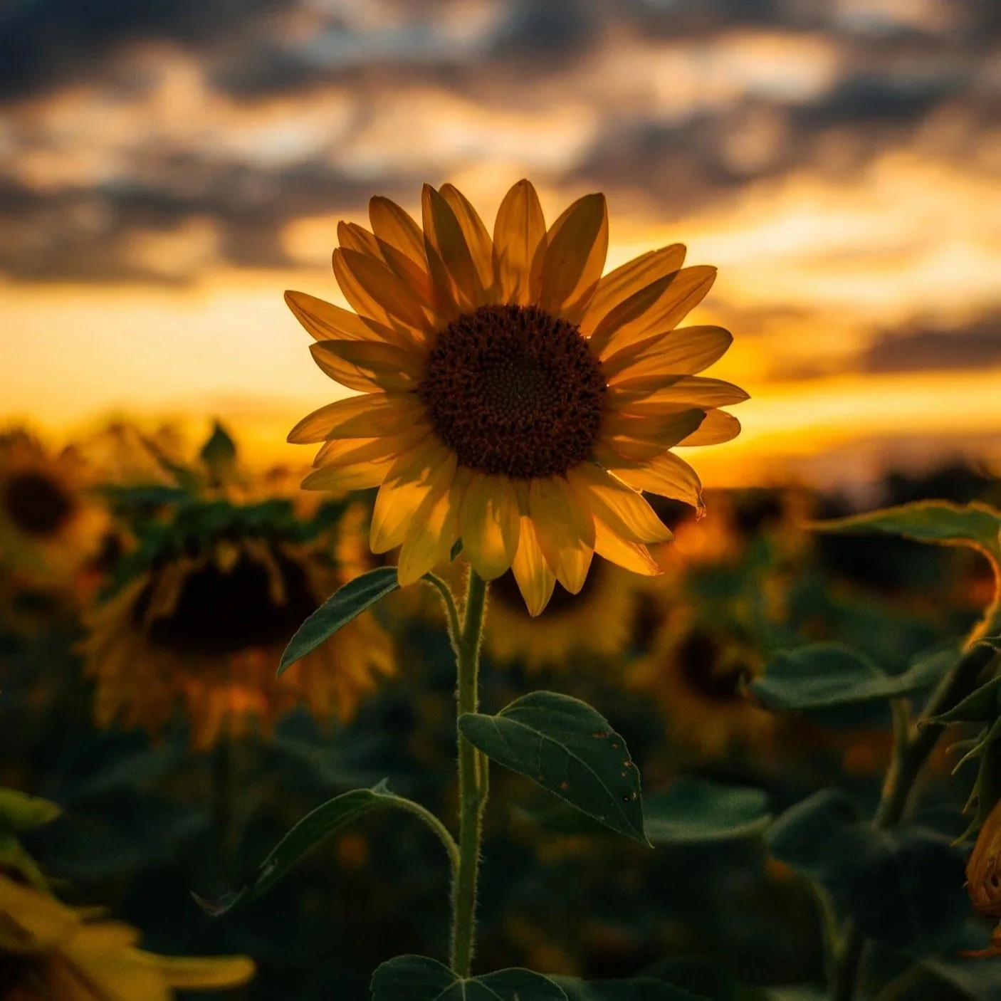 unsplash-image-vKNjdRBqep0.jpg