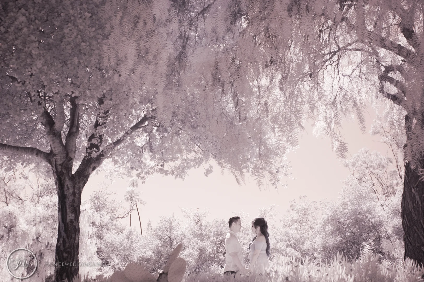 santa_barbara_engagement_photo_tiffany_calvin050.jpg