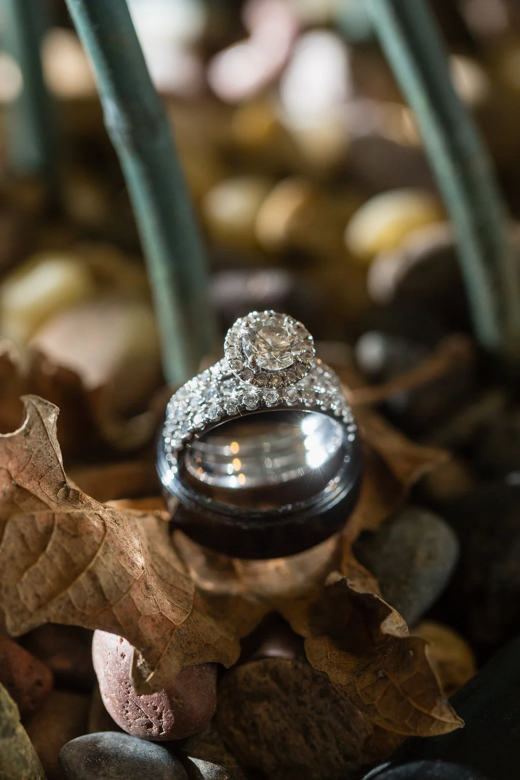 BellaCollinaSanClementeWedding-Chelsea&Ryan(695of751).jpg