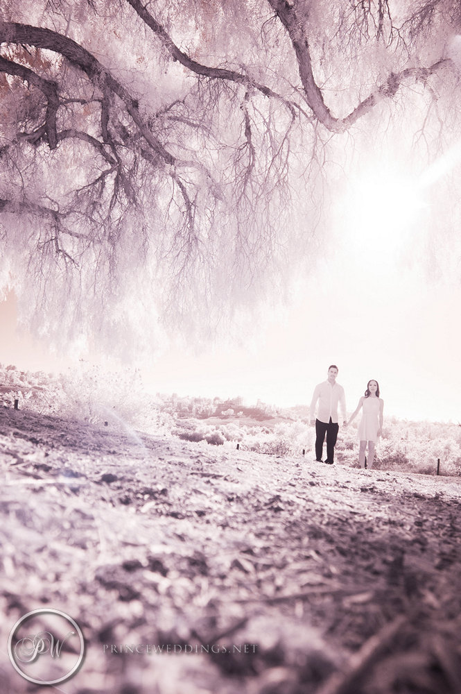 PetersCanyonRegionalParkEngagementPhoto29.jpg