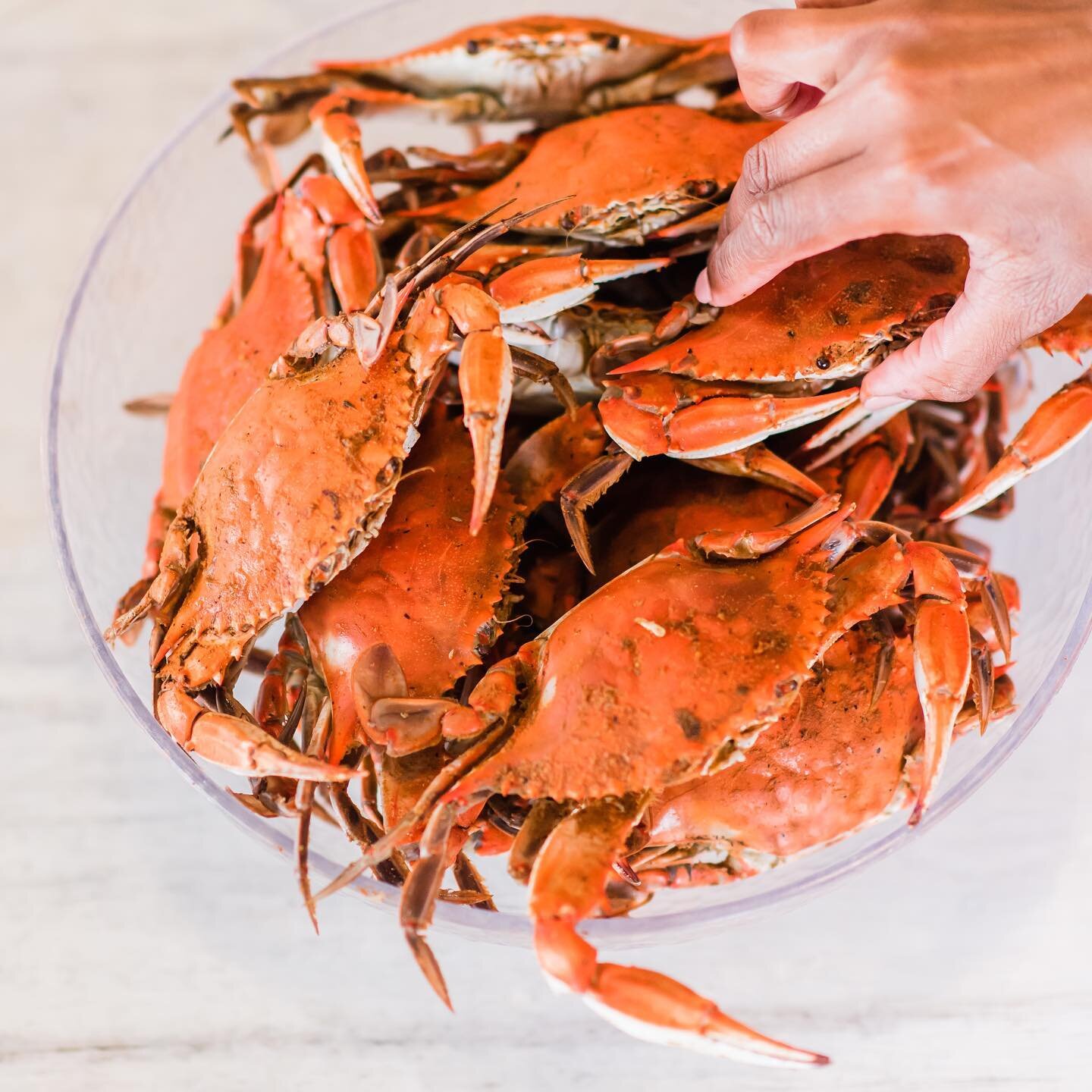 ✨HERE&rsquo;S YOUR WEEKLY CRAB REMINDER✨

NC blue crabs will be available for ordering in 1 hour‼️ 

Live &amp; steamed blue crabs go fast so we suggest showing up early and waiting for the truck to arrive from the coast🌊🚚

Give our fresh market a 