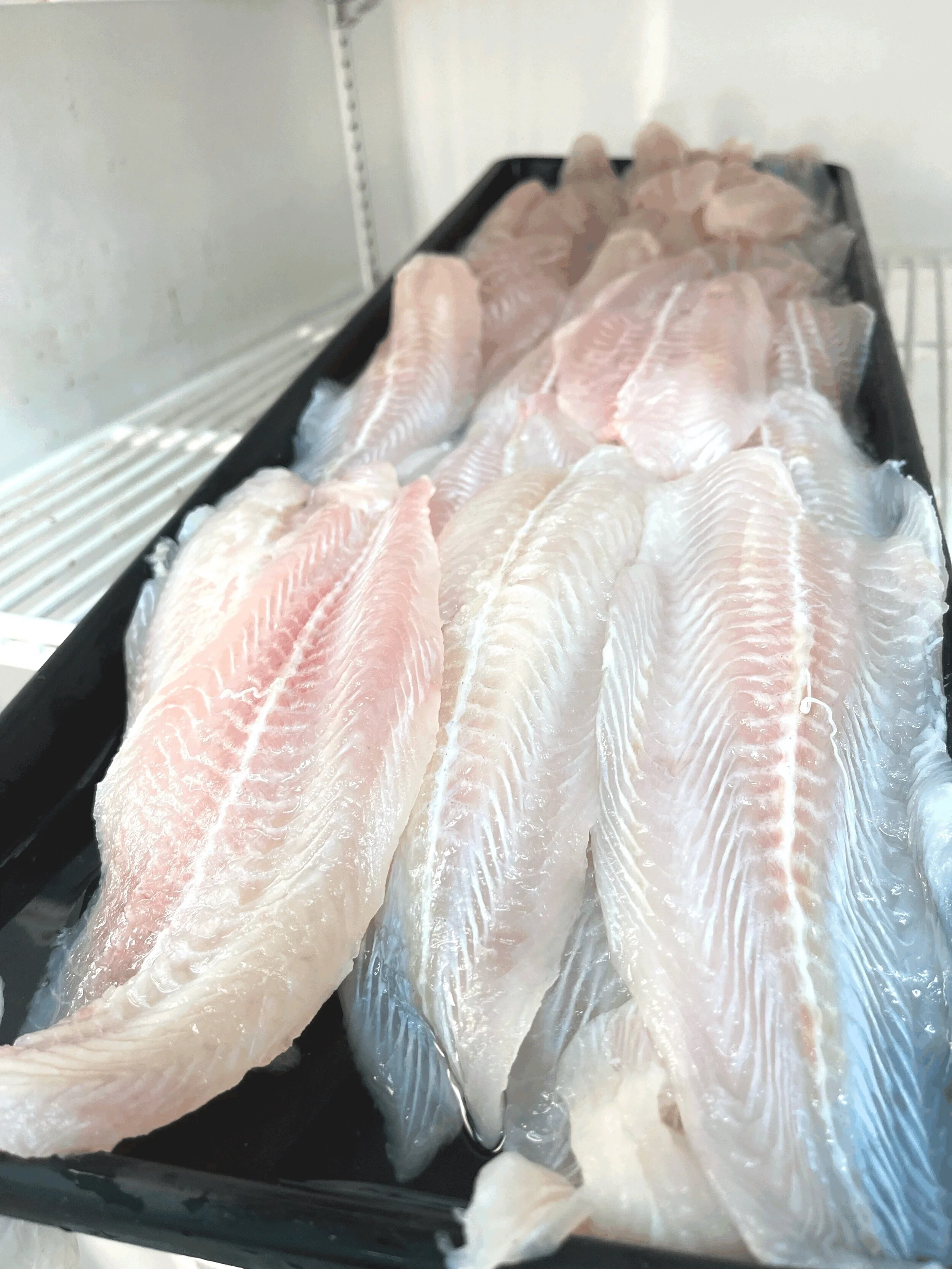 Catfish (Fillet Cut) — Forsyth Seafood Market & Café
