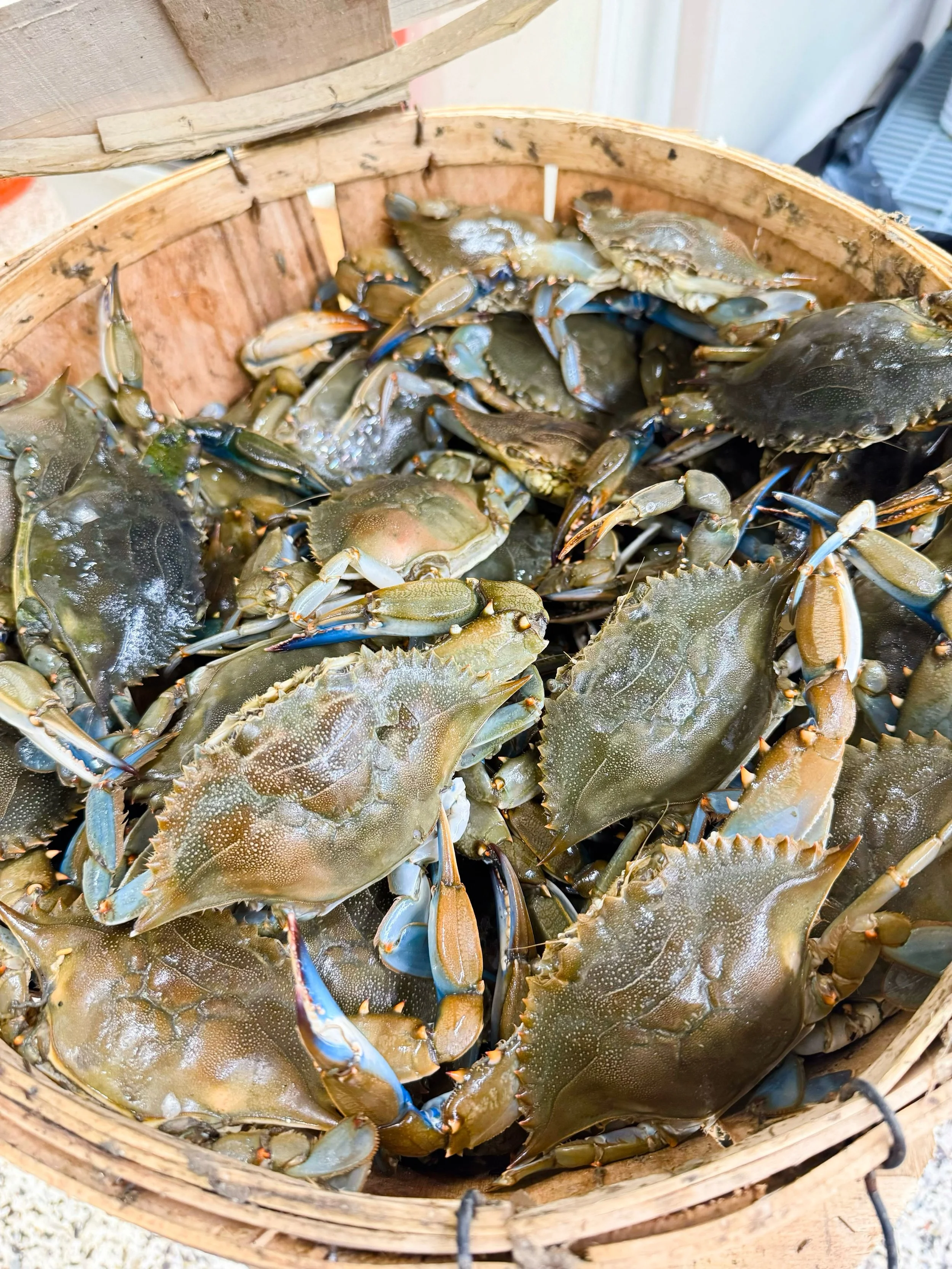 From fresh fish to grab-and-go favorites, our coolers are stocked and our team is always ready to help you find exactly what you need for dinner. Whether you know exactly what you want or want a little guidance, we&rsquo;ve got you covered. 🐟