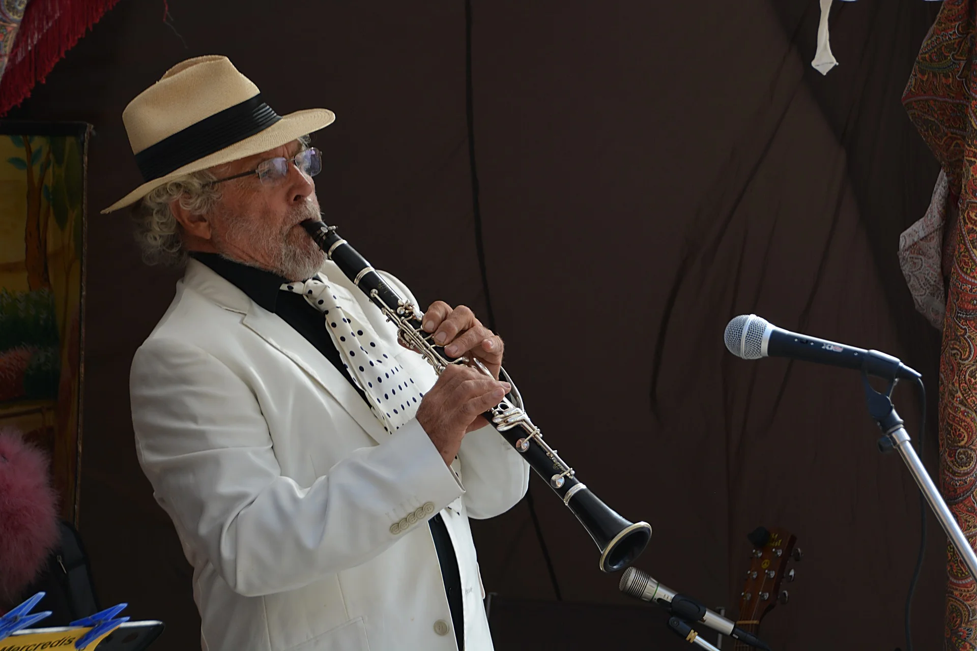 clarinetist-786605_1920.jpg
