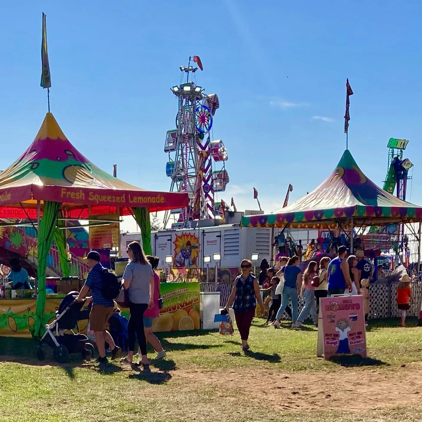 Went to the fair today and it was a damn delight 🎪