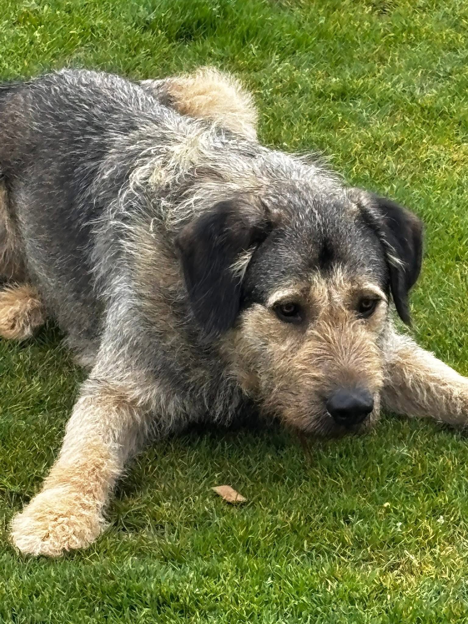digby4.jpg