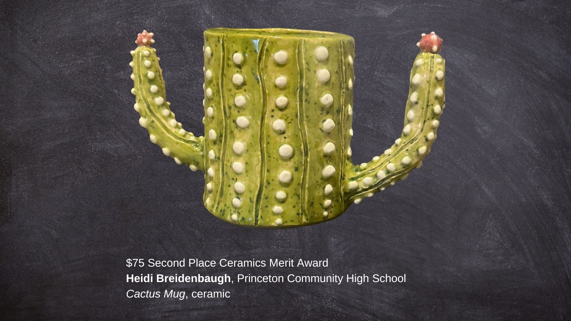 $75 Second Place Ceramics Merit Award Heidi Breidenbaugh, Princeton Community High School Cactus Mug, ceramic.jpg