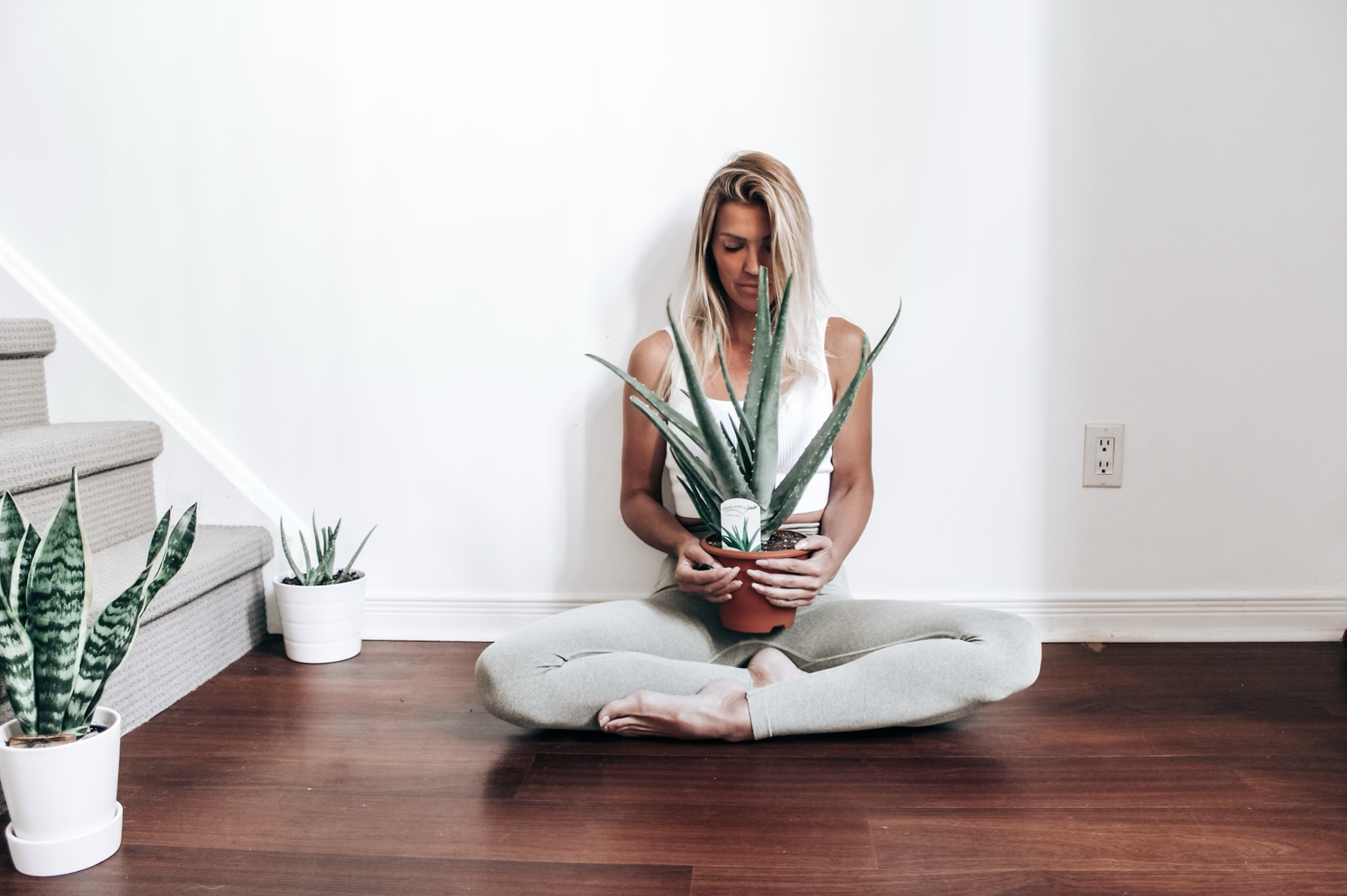 Why you should be using Aloe and 3 simple recipes you can do at home.