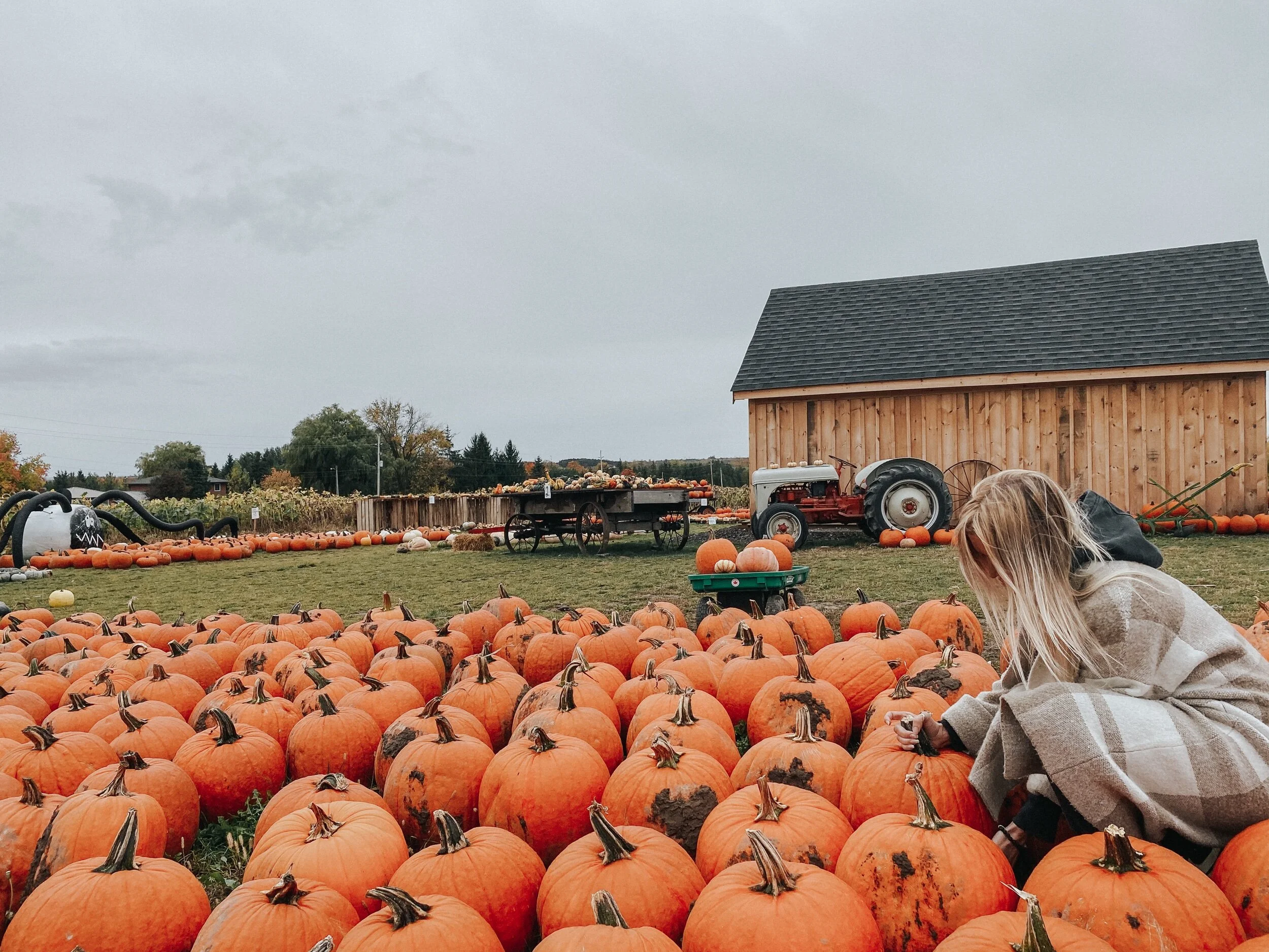 DIY Pumpkin Face Mask