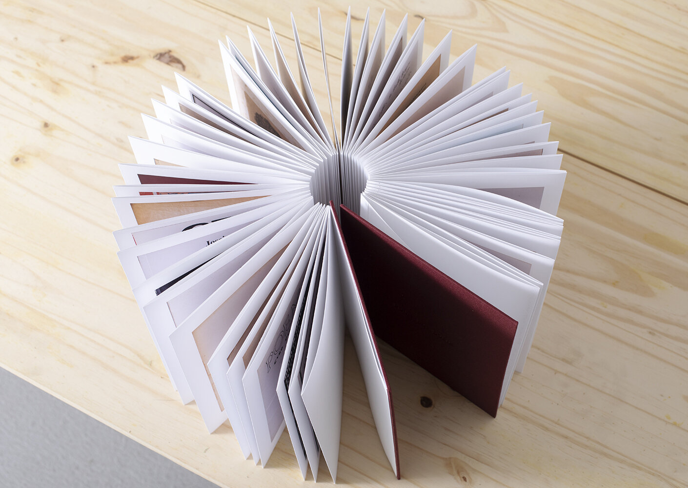 Artist Books by Oxana Ianin
