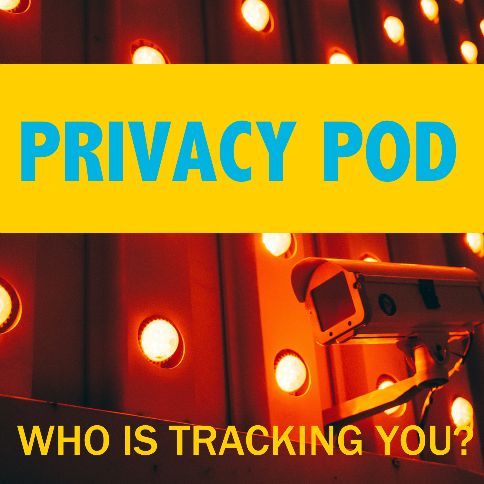 Privacy2.png