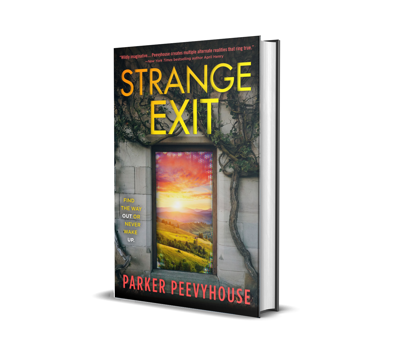 strange exit cover 3d.png