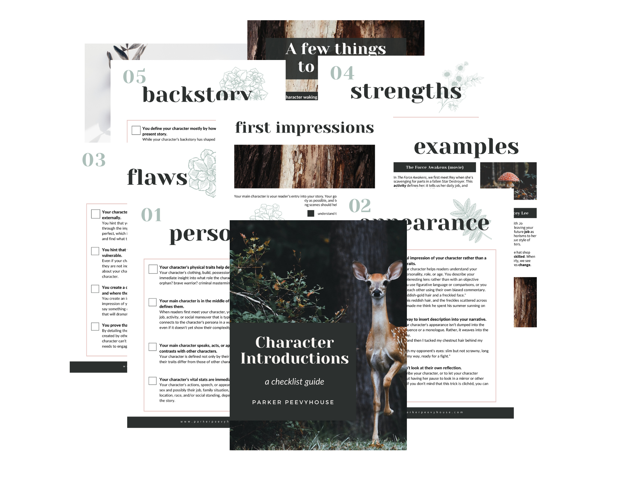 Preview Character Intro guide 1.png