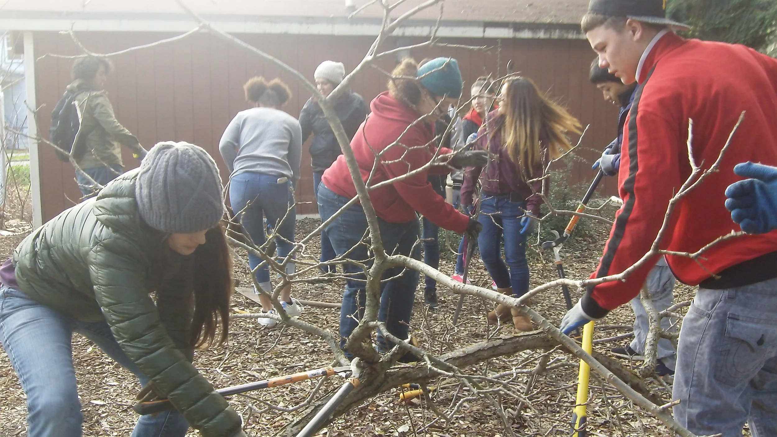 A CUSP sponsored hands on soil bio-engineering workshop the Martinez alternative high school. (2017)
