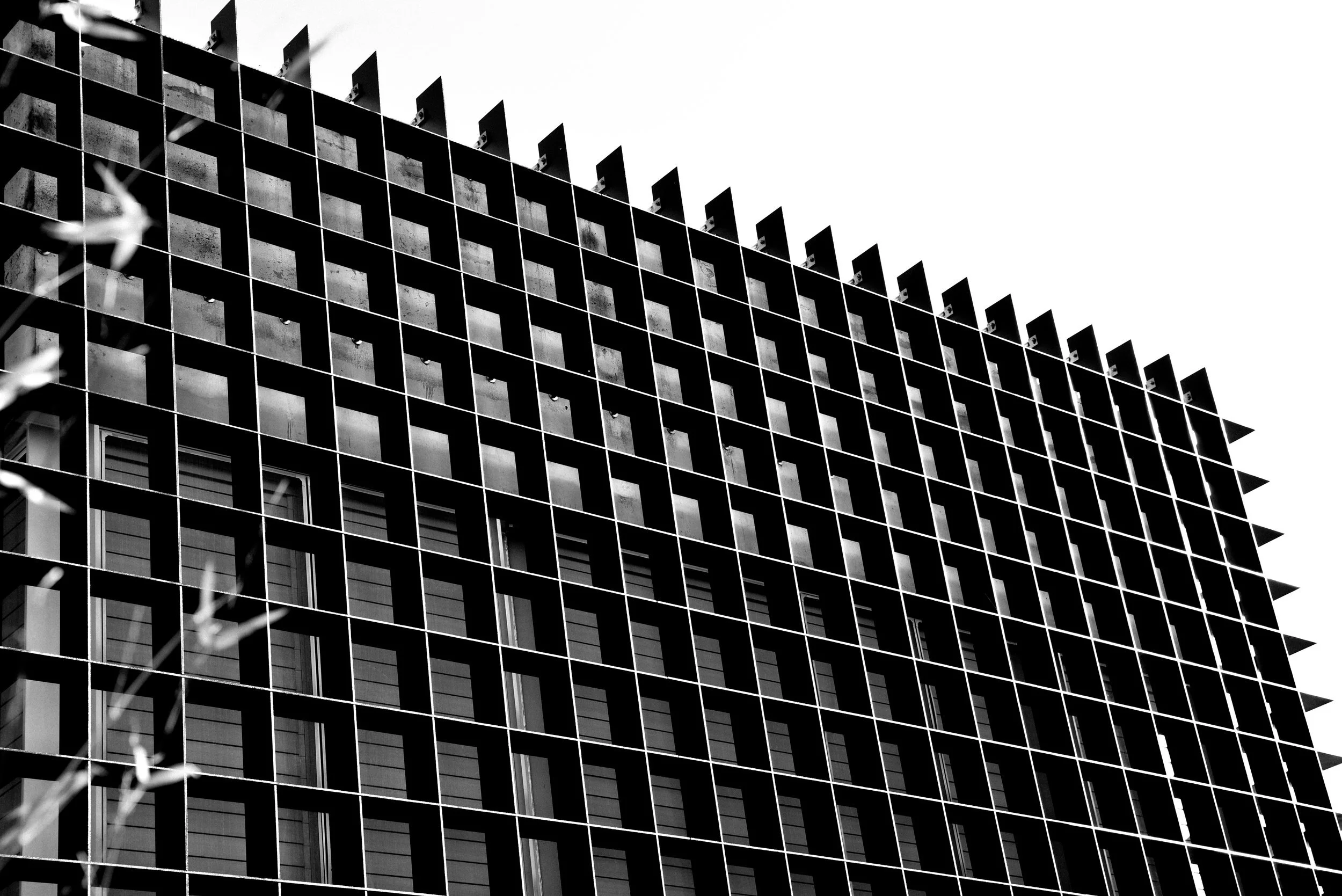 DSC_0269+(3).JPG