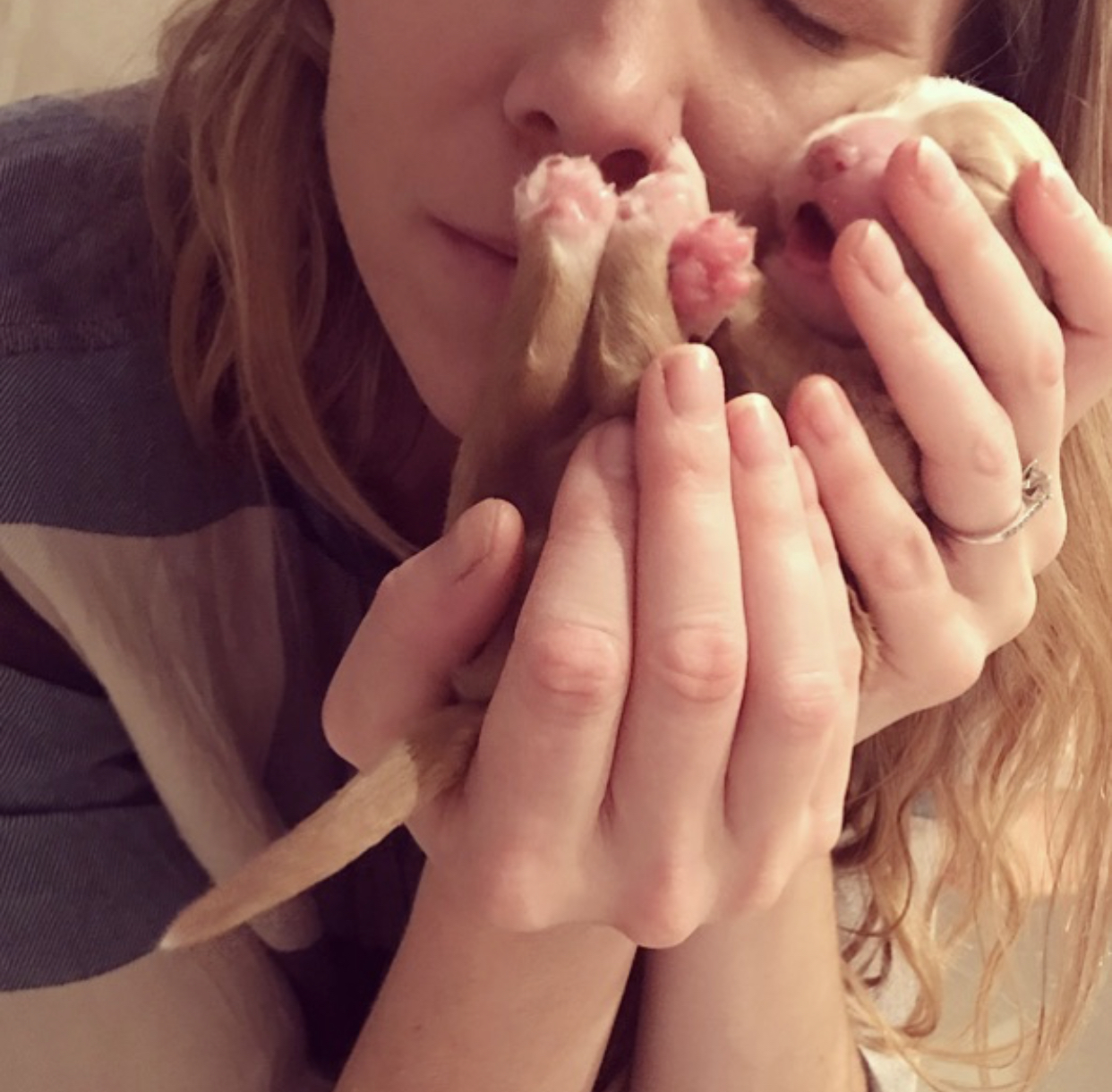 Our babies are handled with love and care everyday. you will often hear my say “I am the real momma” as I spend so much of my day engrossed with my little ones.
