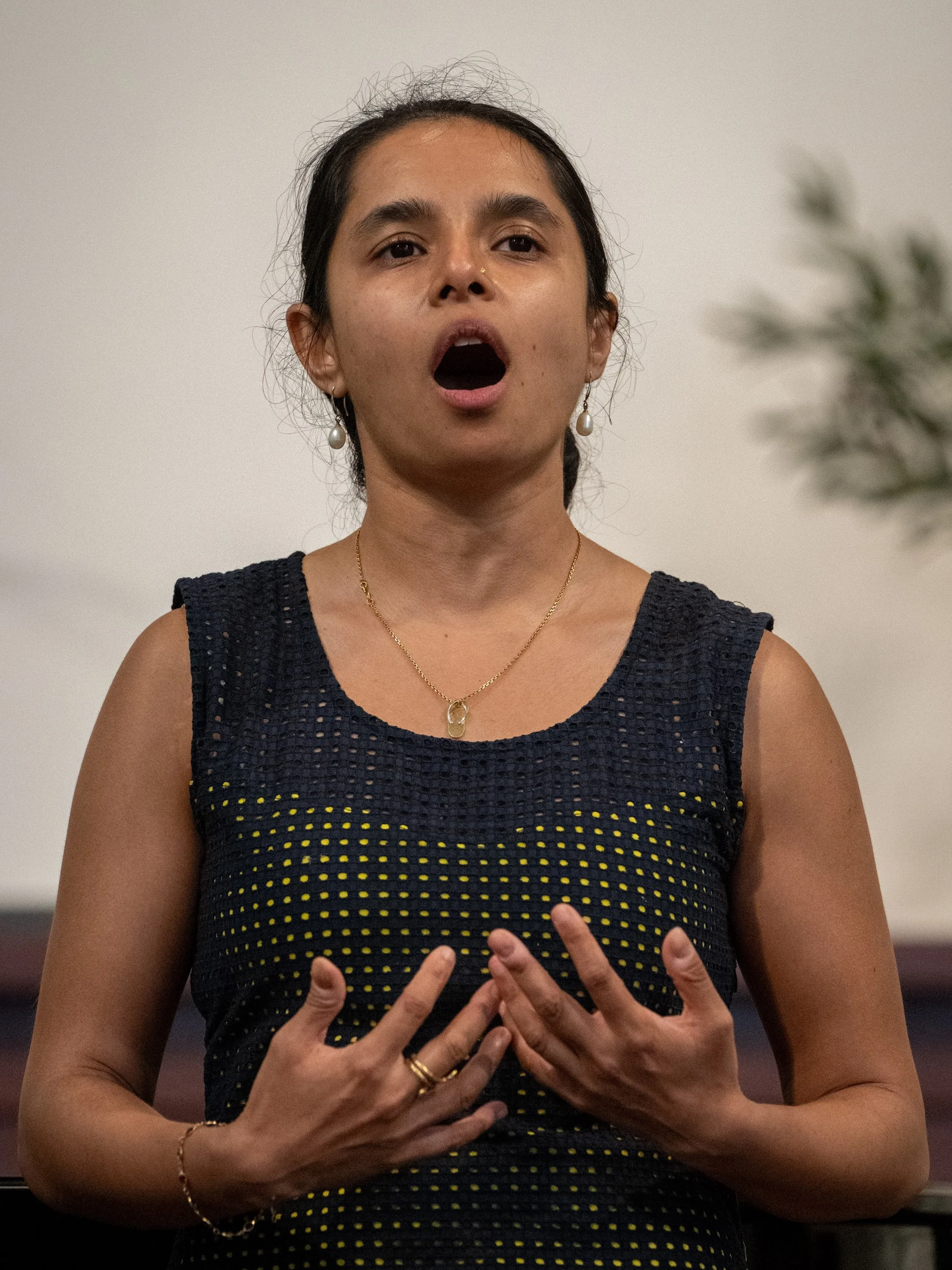  CCD Studio Recital Photos; by Tony Falcone 