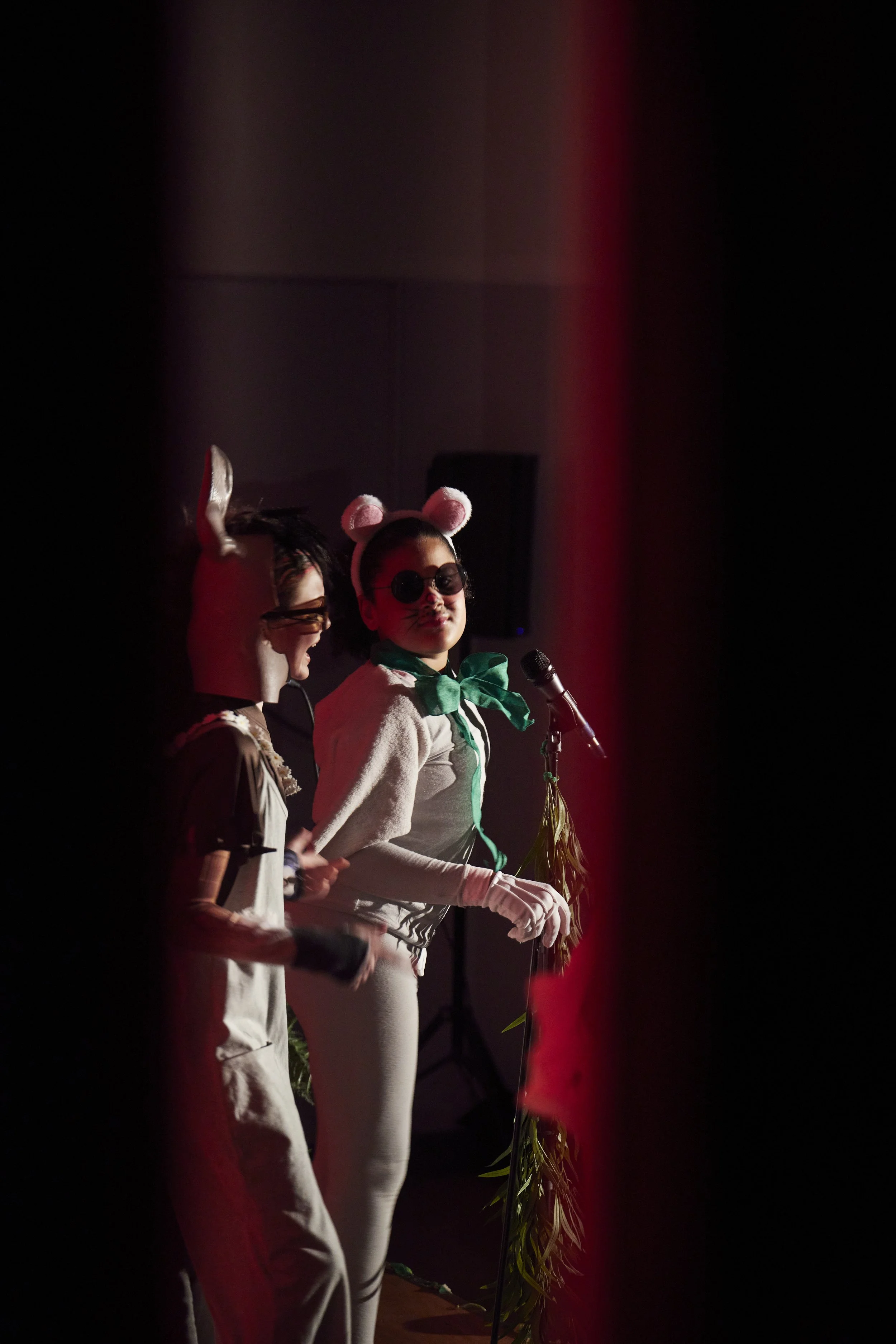  the cast of Shrek Jr. at PS 261 After School; photo by Dylan Chandler 