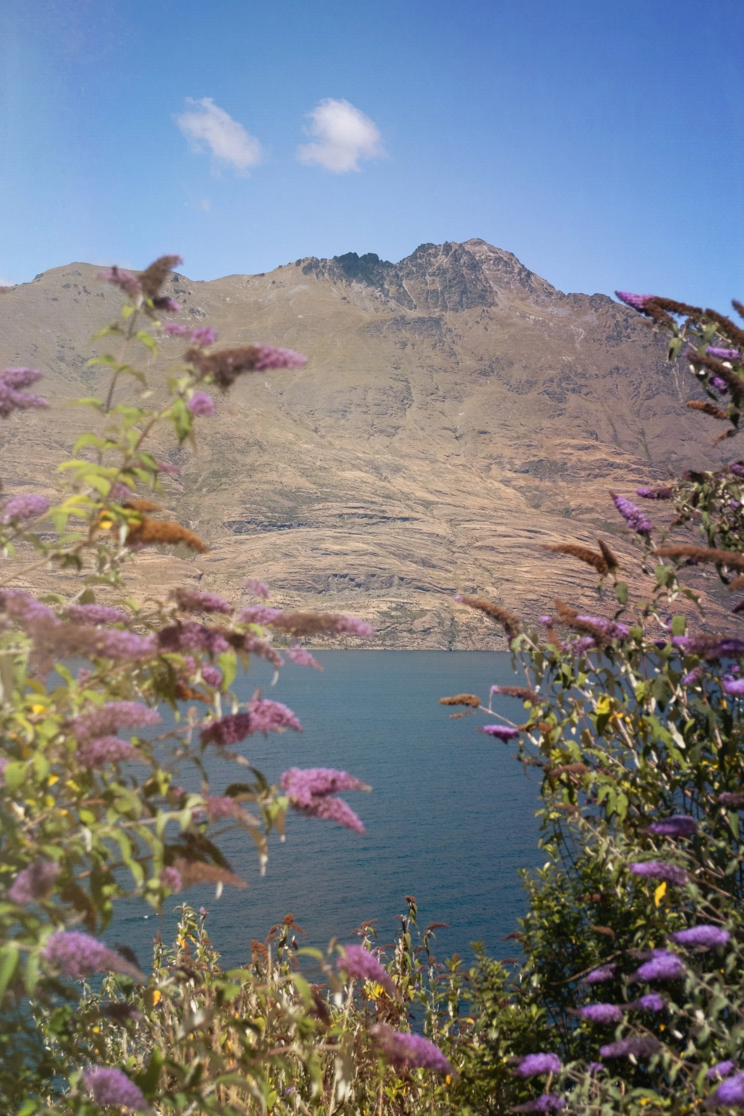 image-asset.jpg