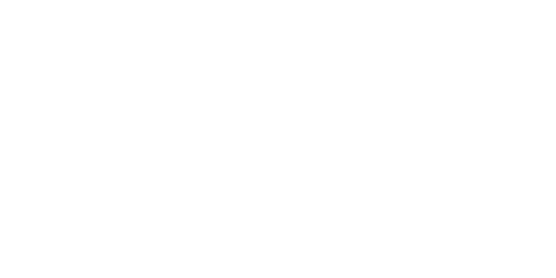 press_DyspraxiaIreland_white.png
