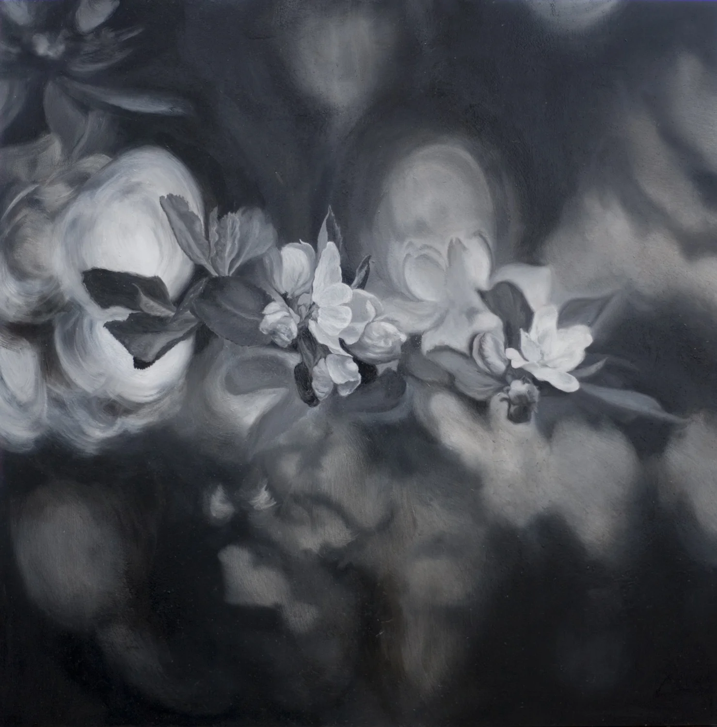 Spring Apple Blossoms