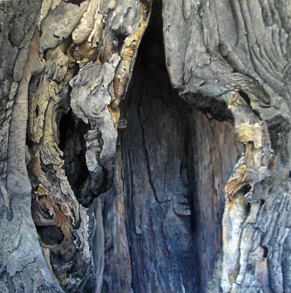 Spirit Tree