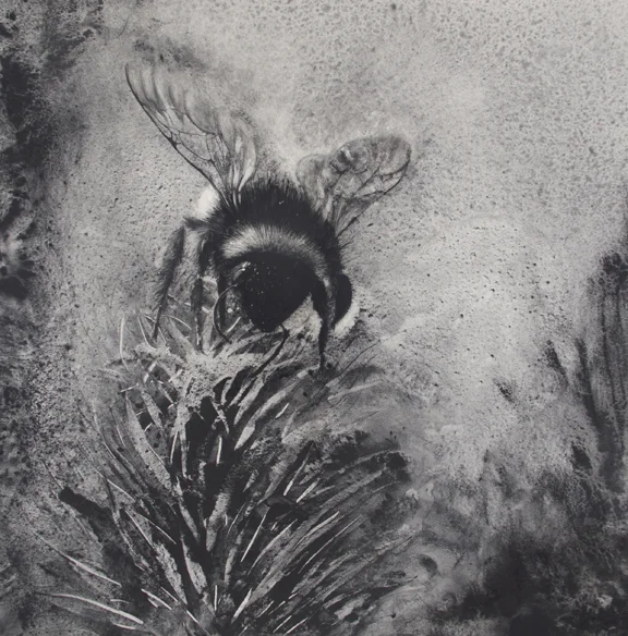 30 x 30 inches, charcoal on board