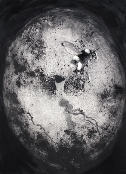 40 x 30 inches, charcoal on board