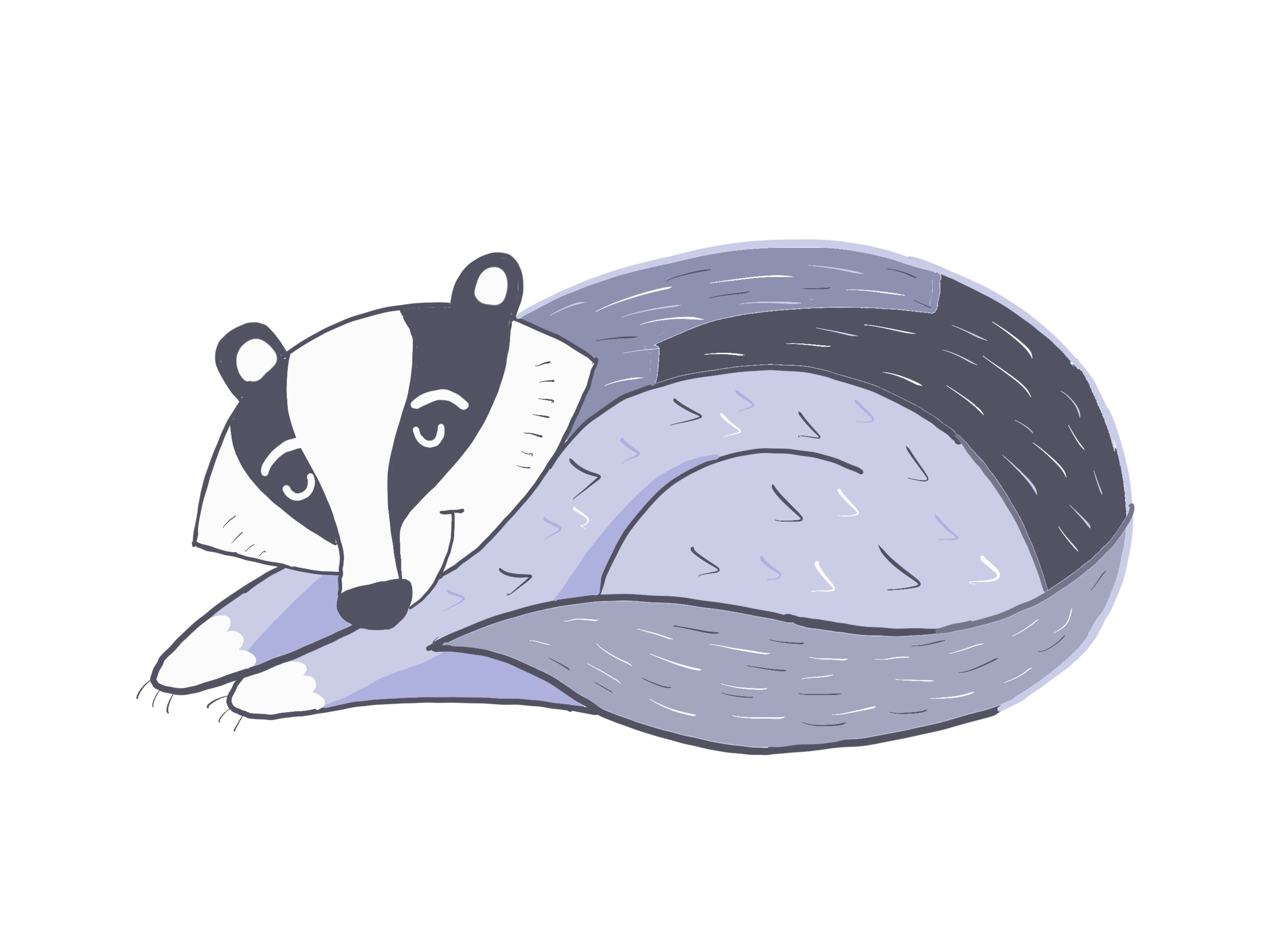 badger boosted contrast.png