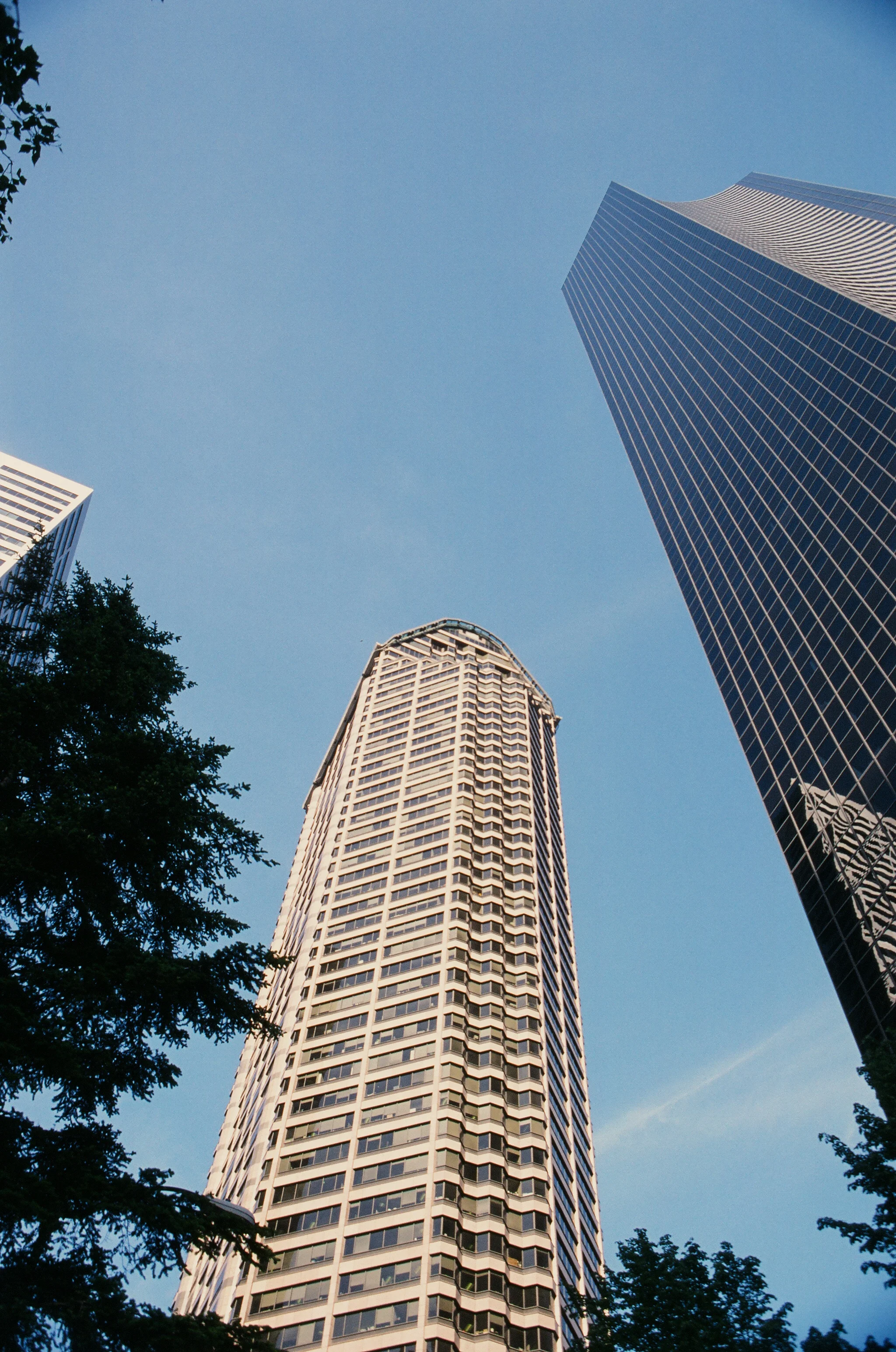 42370014.jpg