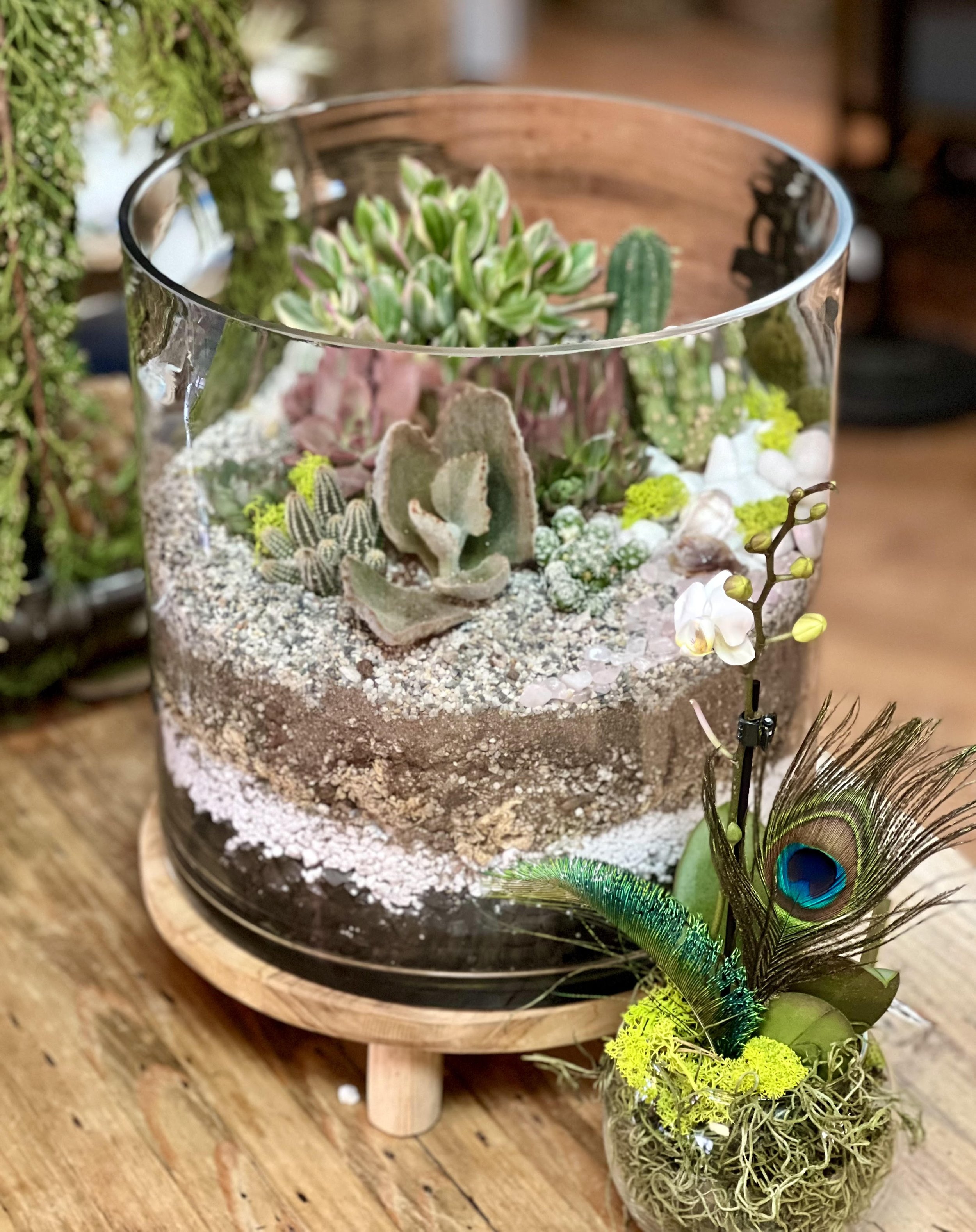 Terrarium Build by GreenSpaceDesign by Jude