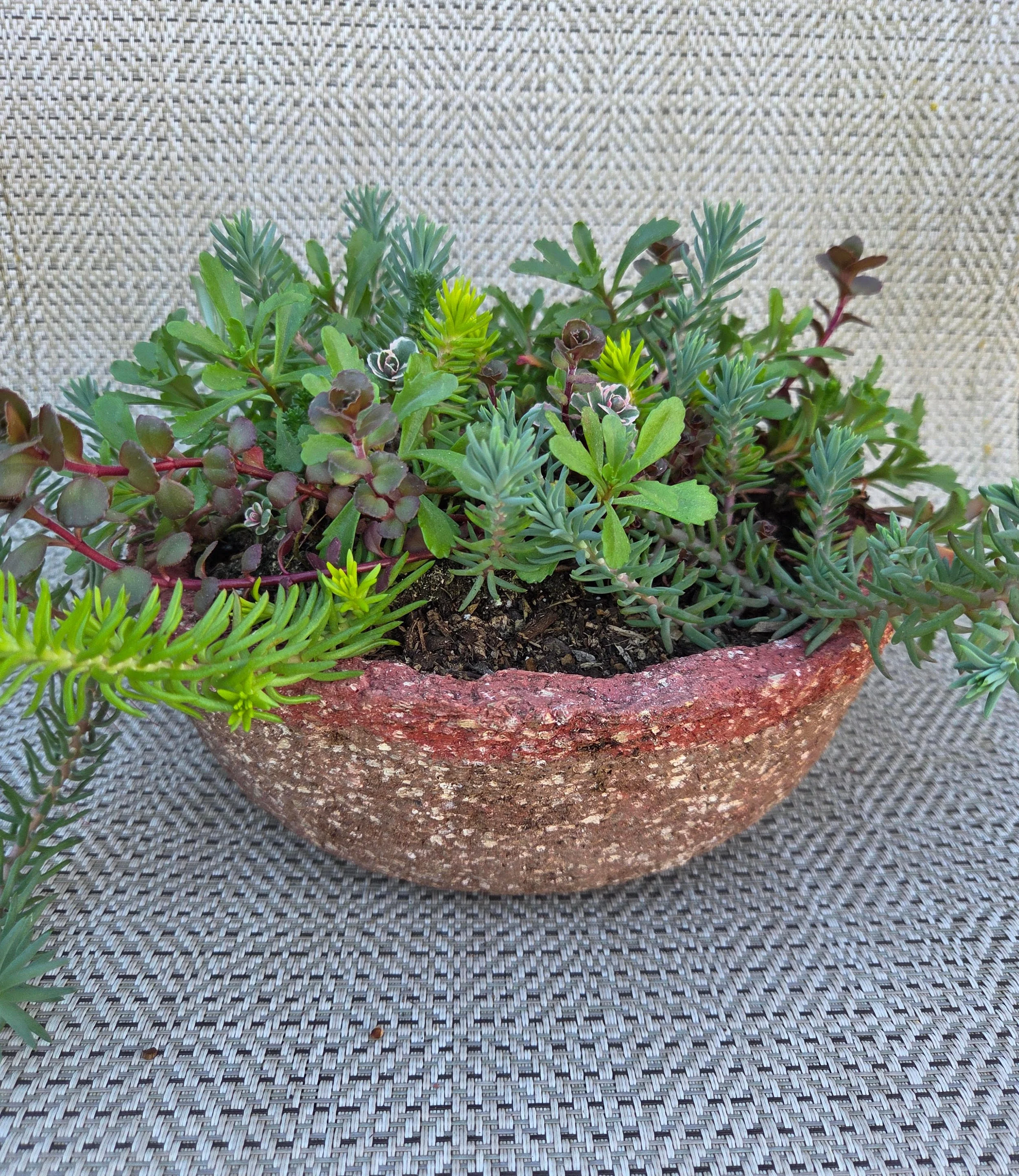 David Hollingsworth 2.jpg